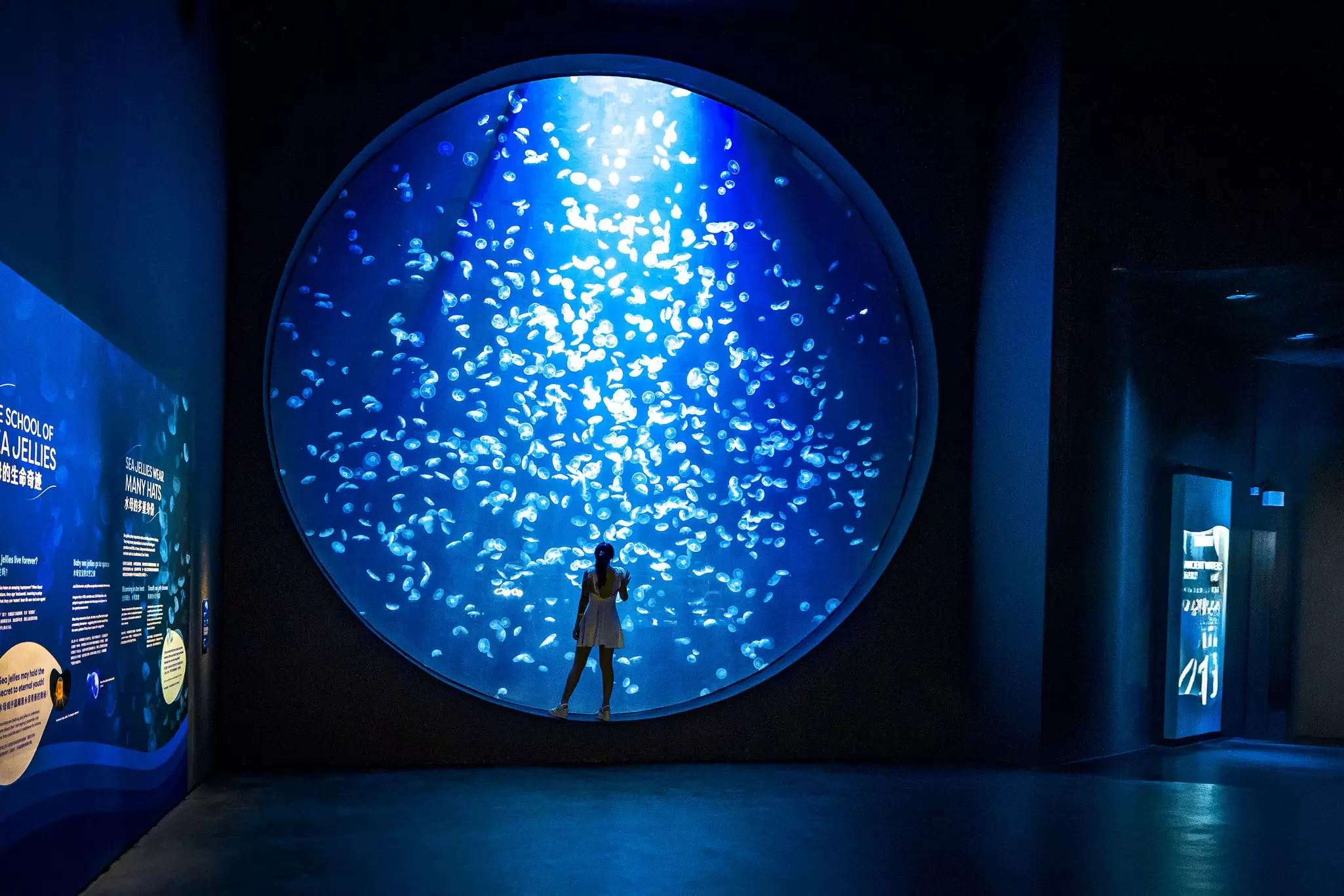 Singapore_Oceanarium_Ocean-Wonders_clean.jpg