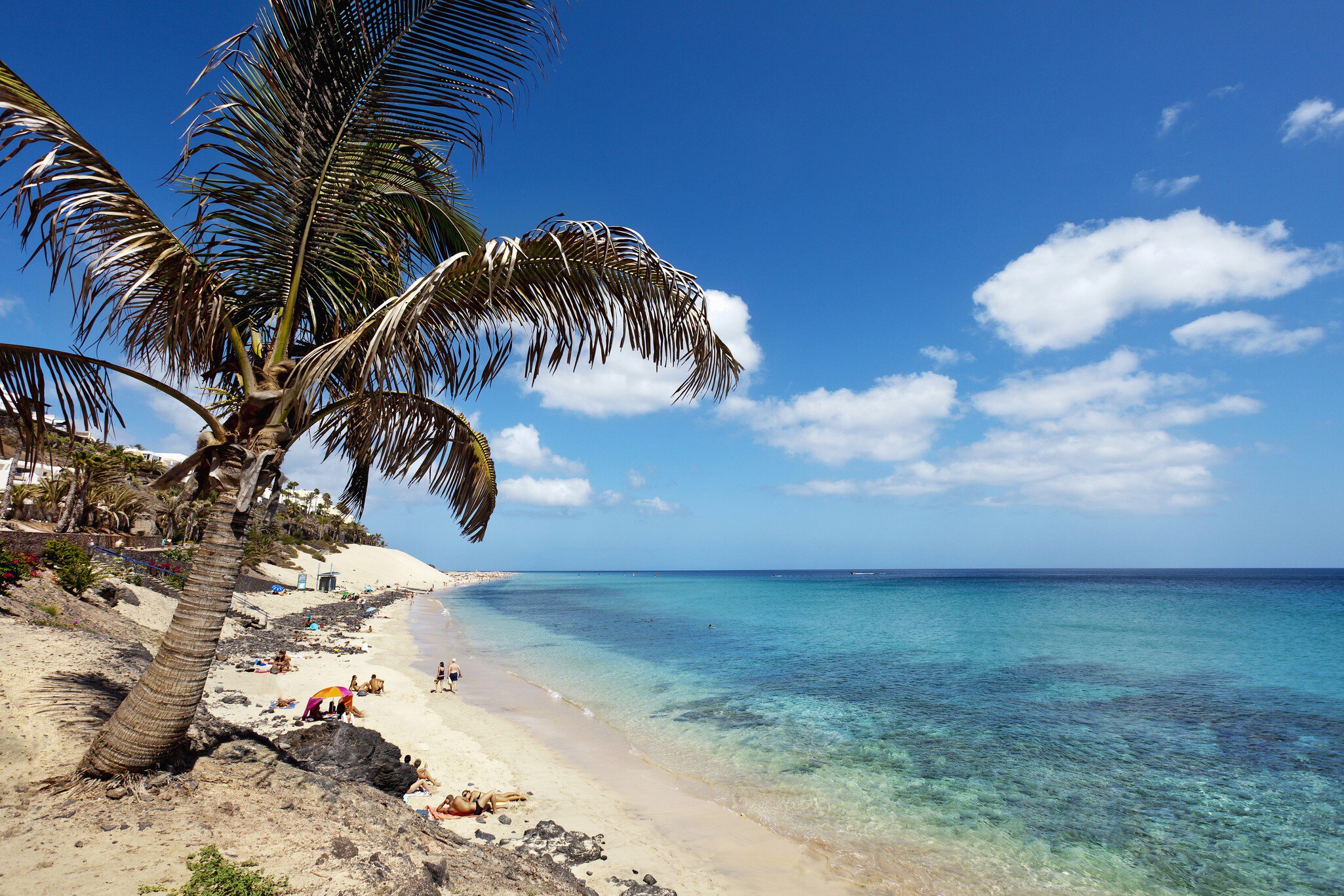 Seaside promenade with palm trees, Playa del Matorral, Morro Jable, Jandia peninsula, Fuerteventura, Canary Islands, Spain