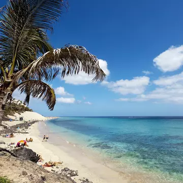 Seaside promenade with palm trees, Playa del Matorral, Morro Jable, Jandia peninsula, Fuerteventura, Canary Islands, Spain