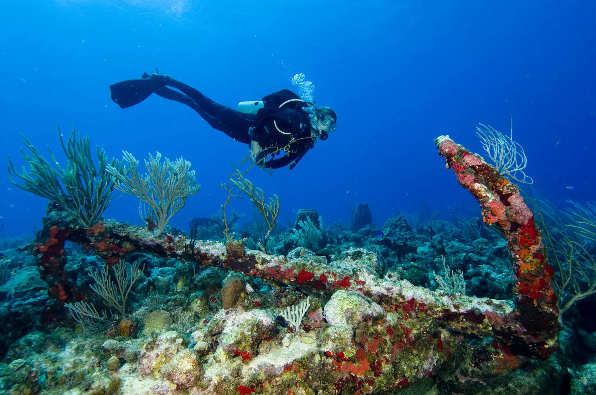 A scuba diver swims above a reef with a large anchor resting nearby forming an artificial reef.