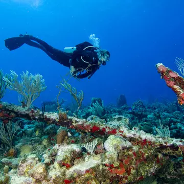 A scuba diver swims above a reef with a large anchor resting nearby forming an artificial reef.
