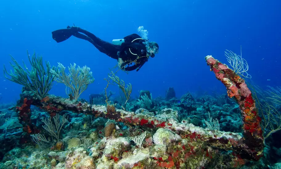 A scuba diver swims above a reef with a large anchor resting nearby forming an artificial reef.