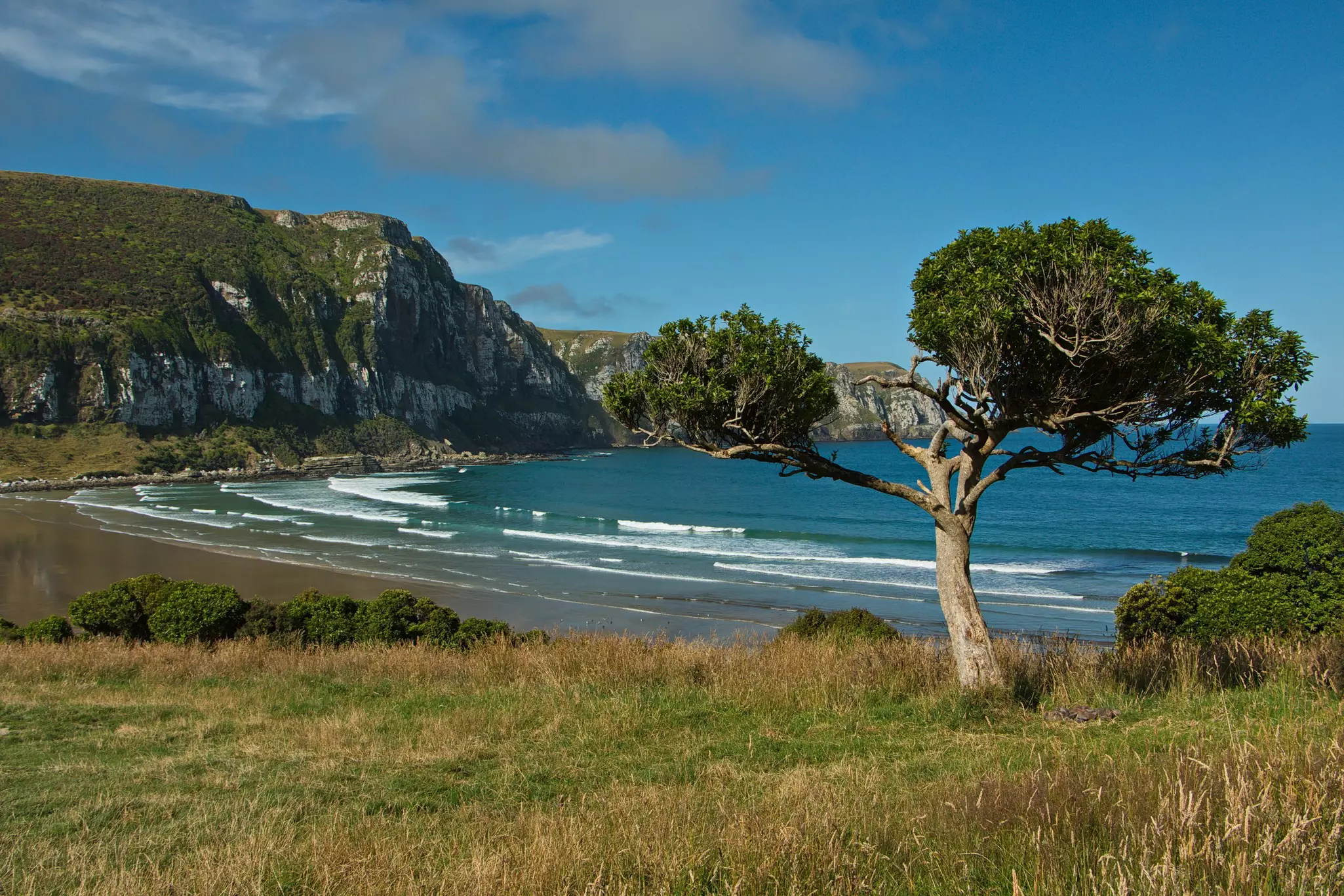 The beach at Pūrākaunui Bay in the Catlins. 