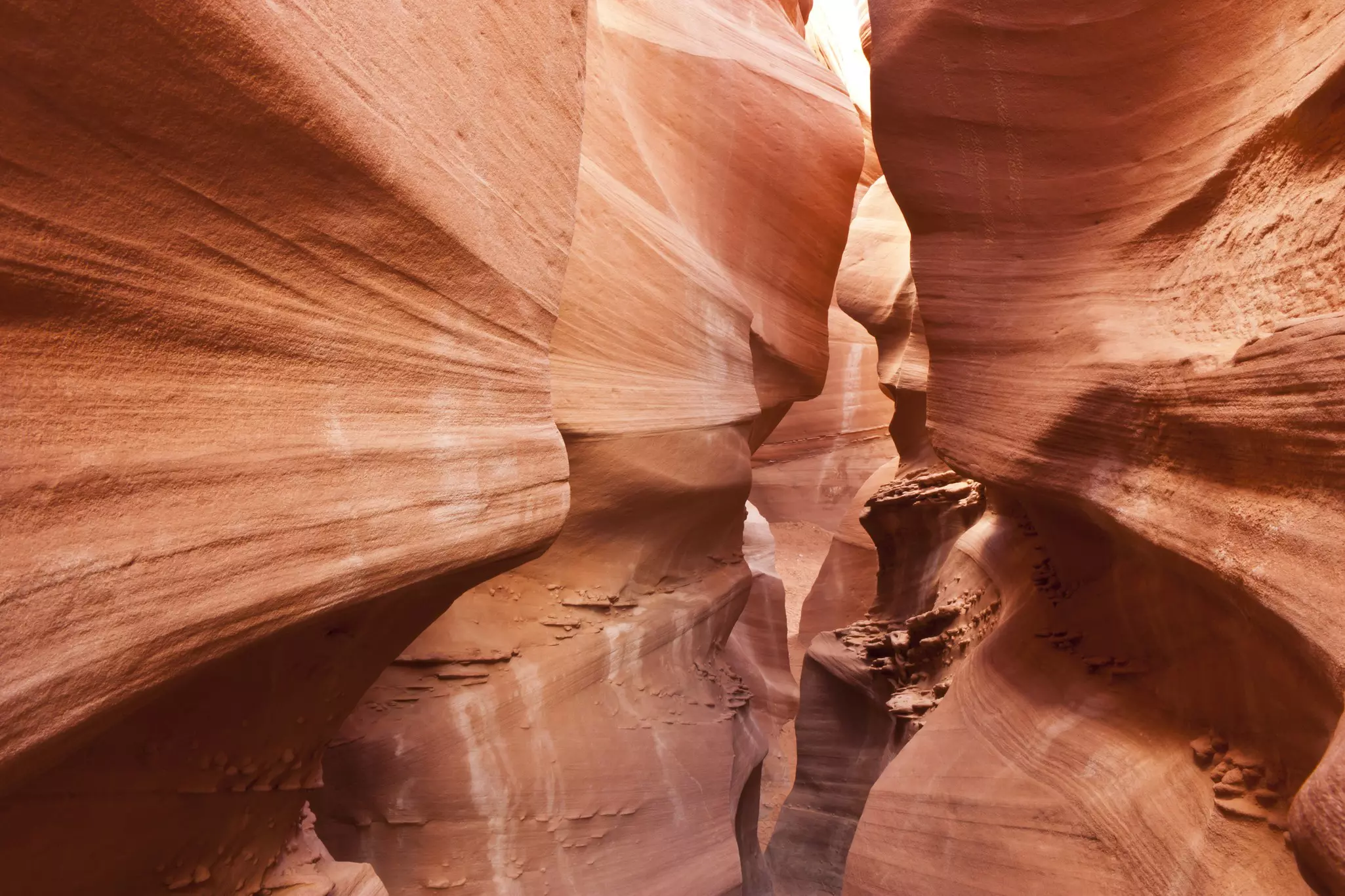 The rock walls form a wave texture in Peek-a-Boo Slot Canyon in Escalante National Monument © Colin D. Young / Shutterstock