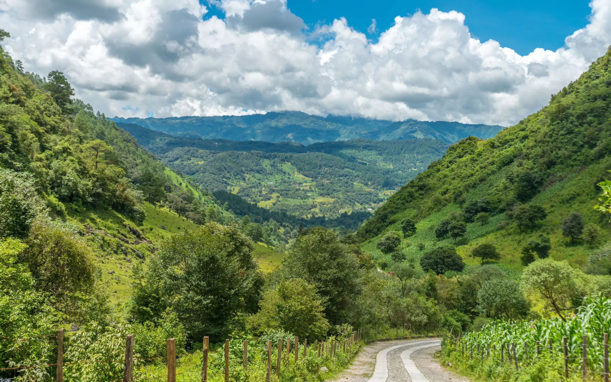 A narrow road weaves through a rural area leading to hillsides covered in dense foliage.