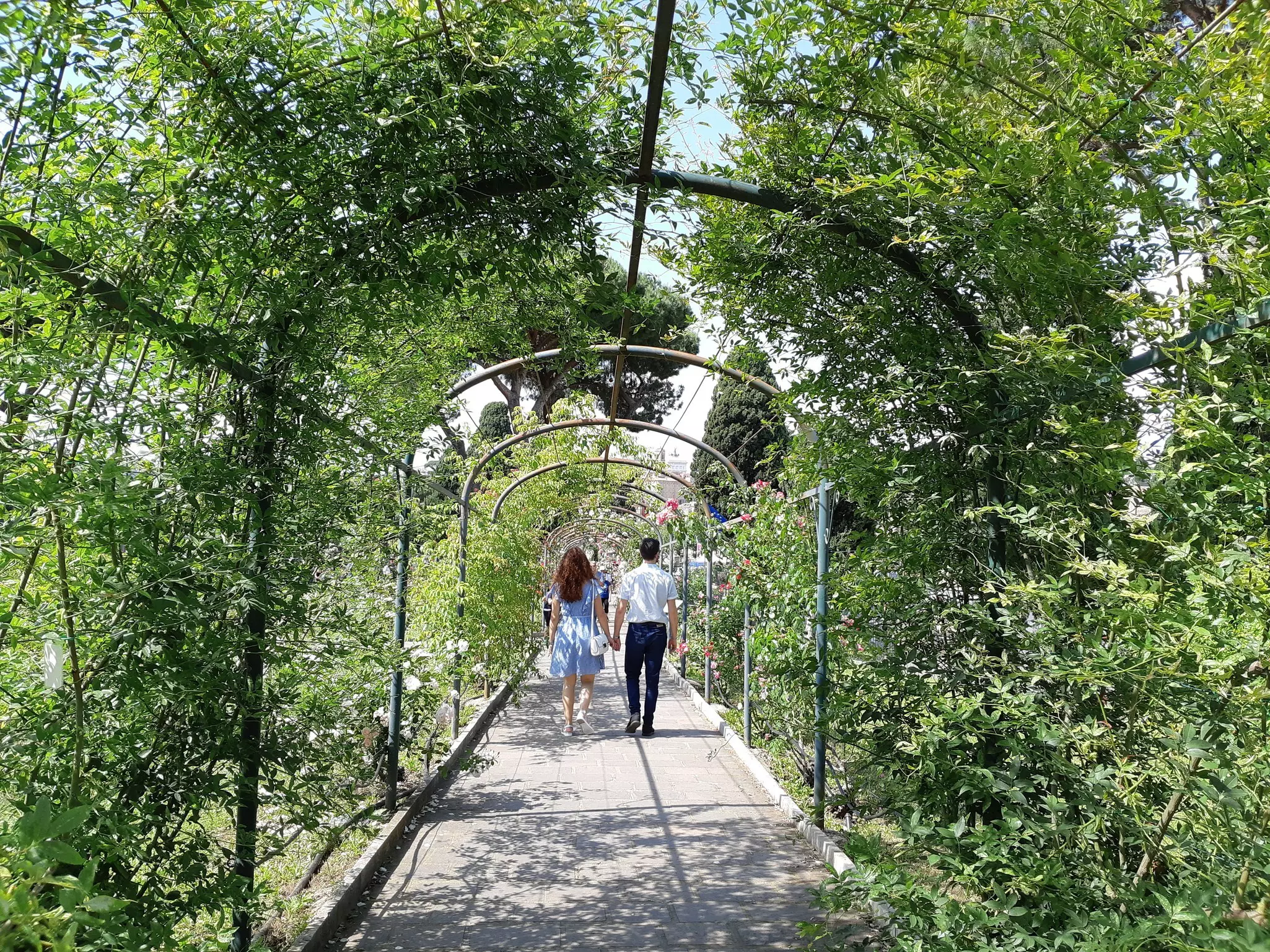 A couple taking a romantic walk at Rome's Roseto Comunale.