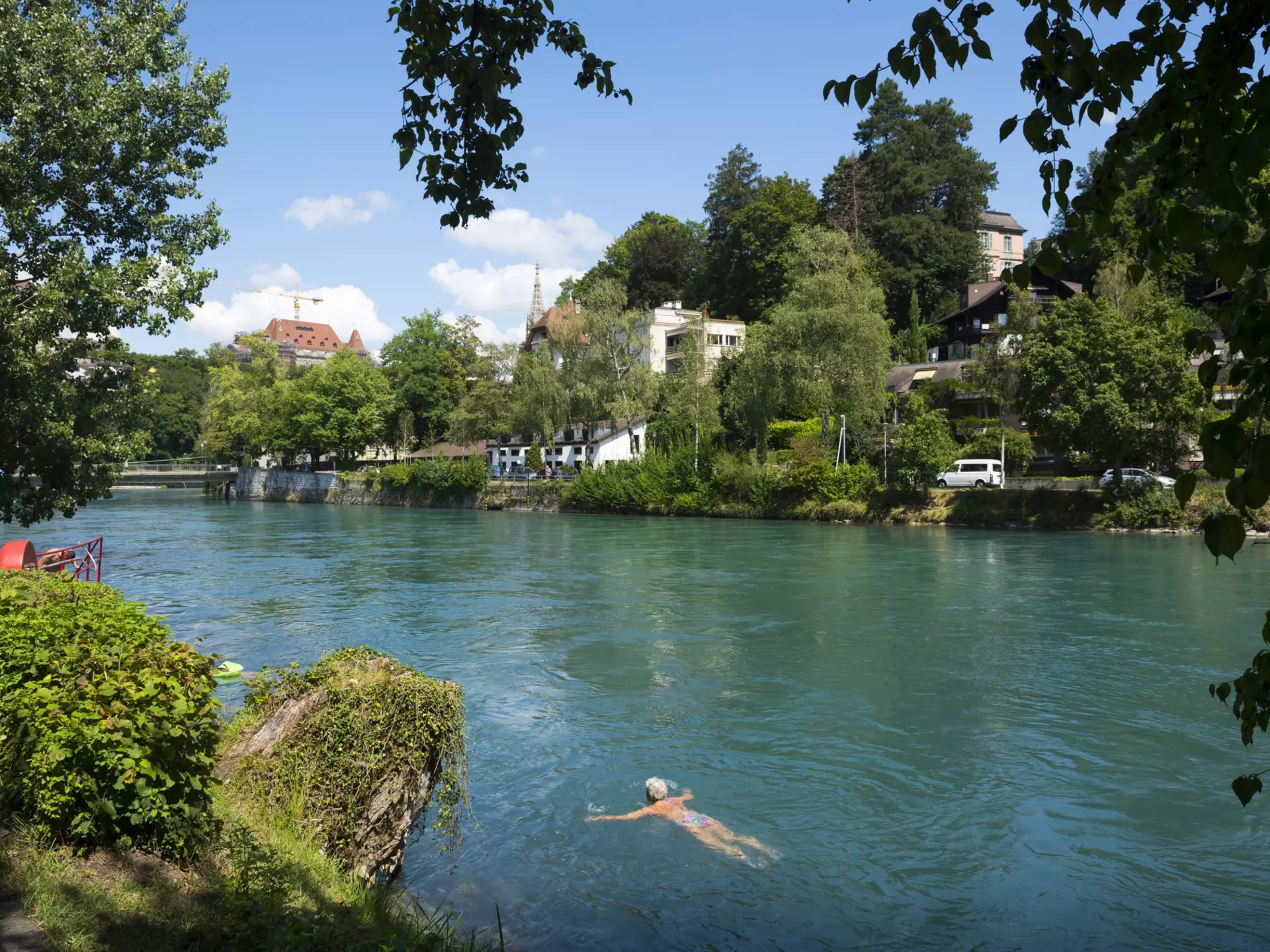 An older woman swims breaststroke near the bank of a wide river on a sunny day. On the opposite bank are buildings obscured by large trees.