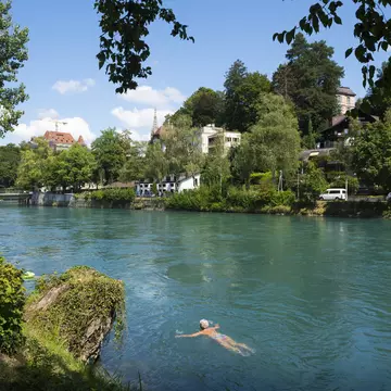 An older woman swims breaststroke near the bank of a wide river on a sunny day. On the opposite bank are buildings obscured by large trees.