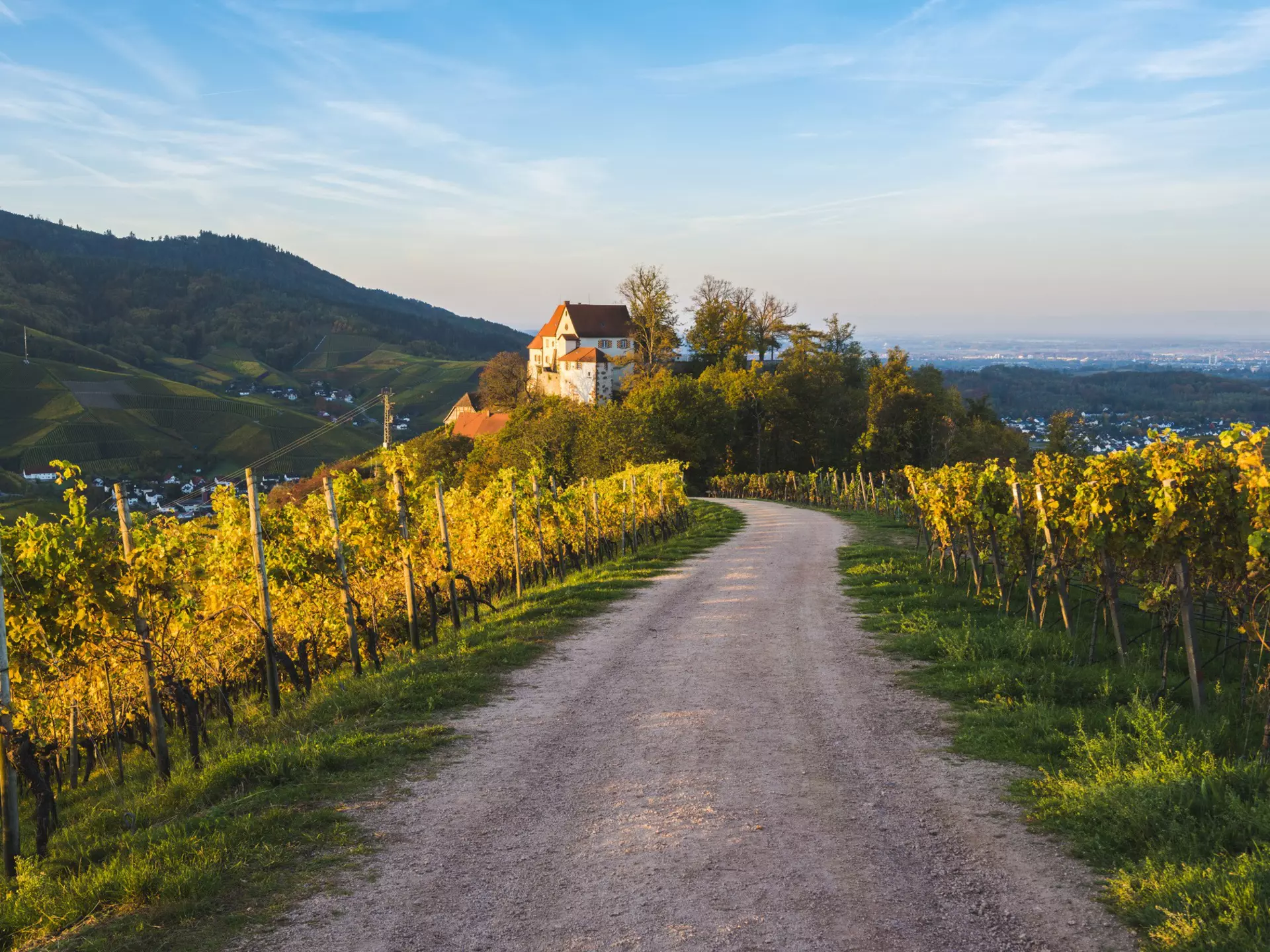 Rolling vineyards surrounded Staufenberg Castle near Durbach, Germany in the Baden-Württemberg wine region. Marco Bottigelli / Getty Images