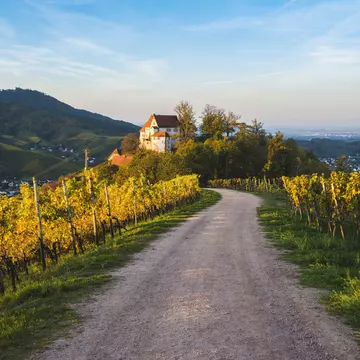 Rolling vineyards surrounded Staufenberg Castle near Durbach, Germany in the Baden-Württemberg wine region. Marco Bottigelli / Getty Images