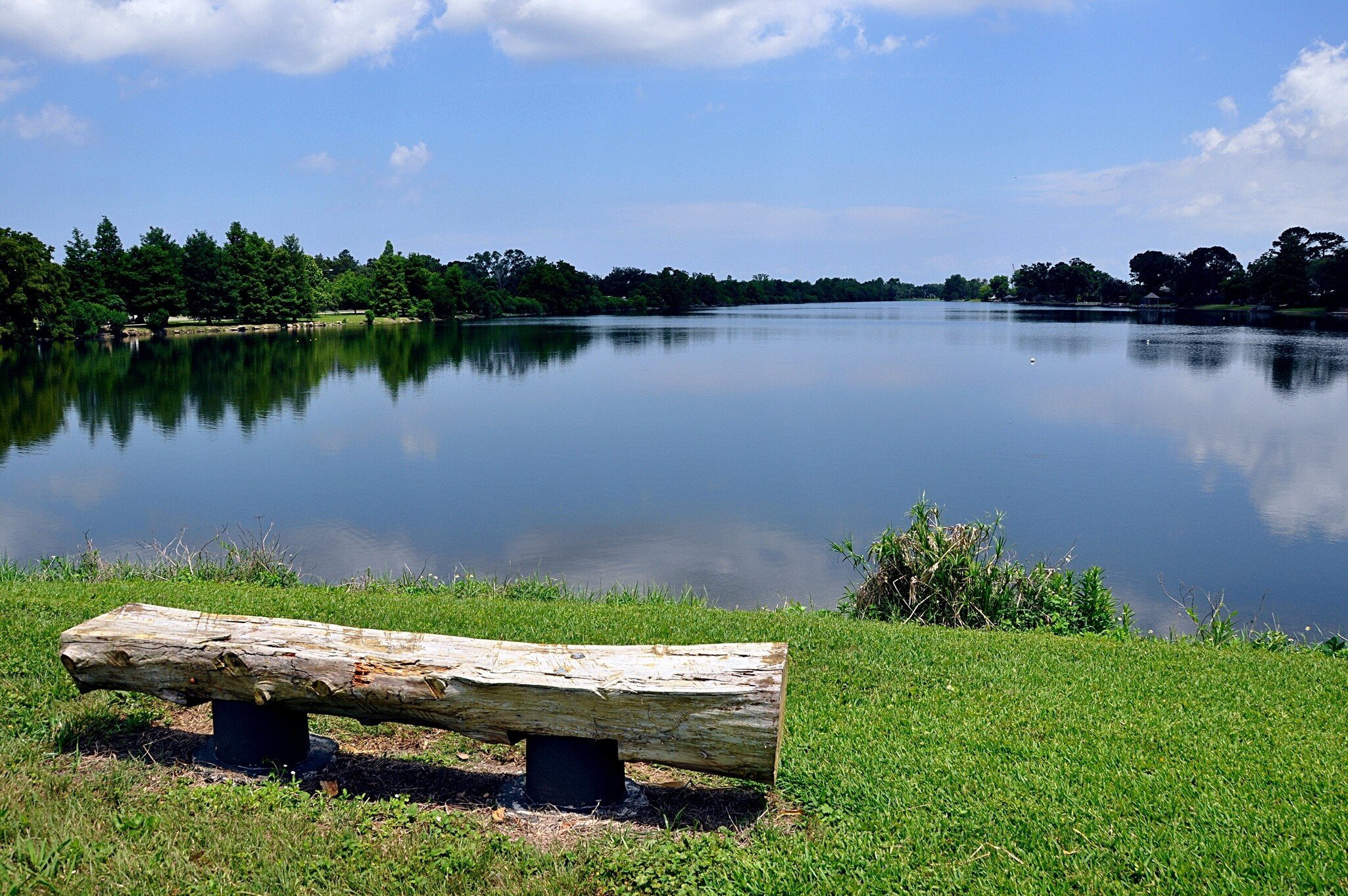 Log Bench On Shore Of Bayou St. John, New Orleans, La.