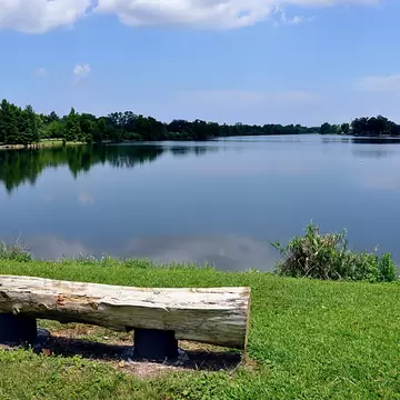 Log Bench On Shore Of Bayou St. John, New Orleans, La.