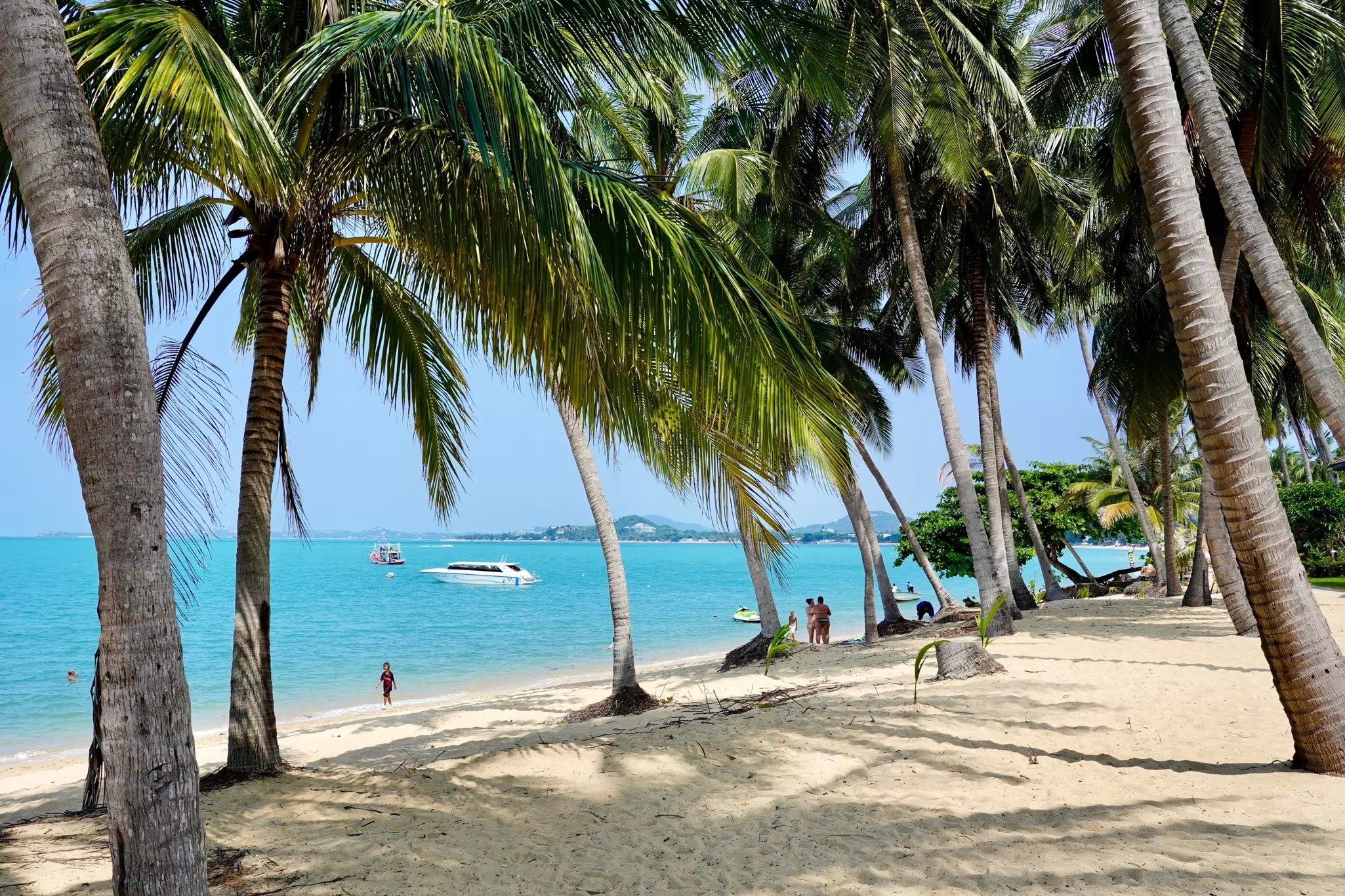 A palm tree-lined beach with a few people on the shore. Two boats are docked nearby.