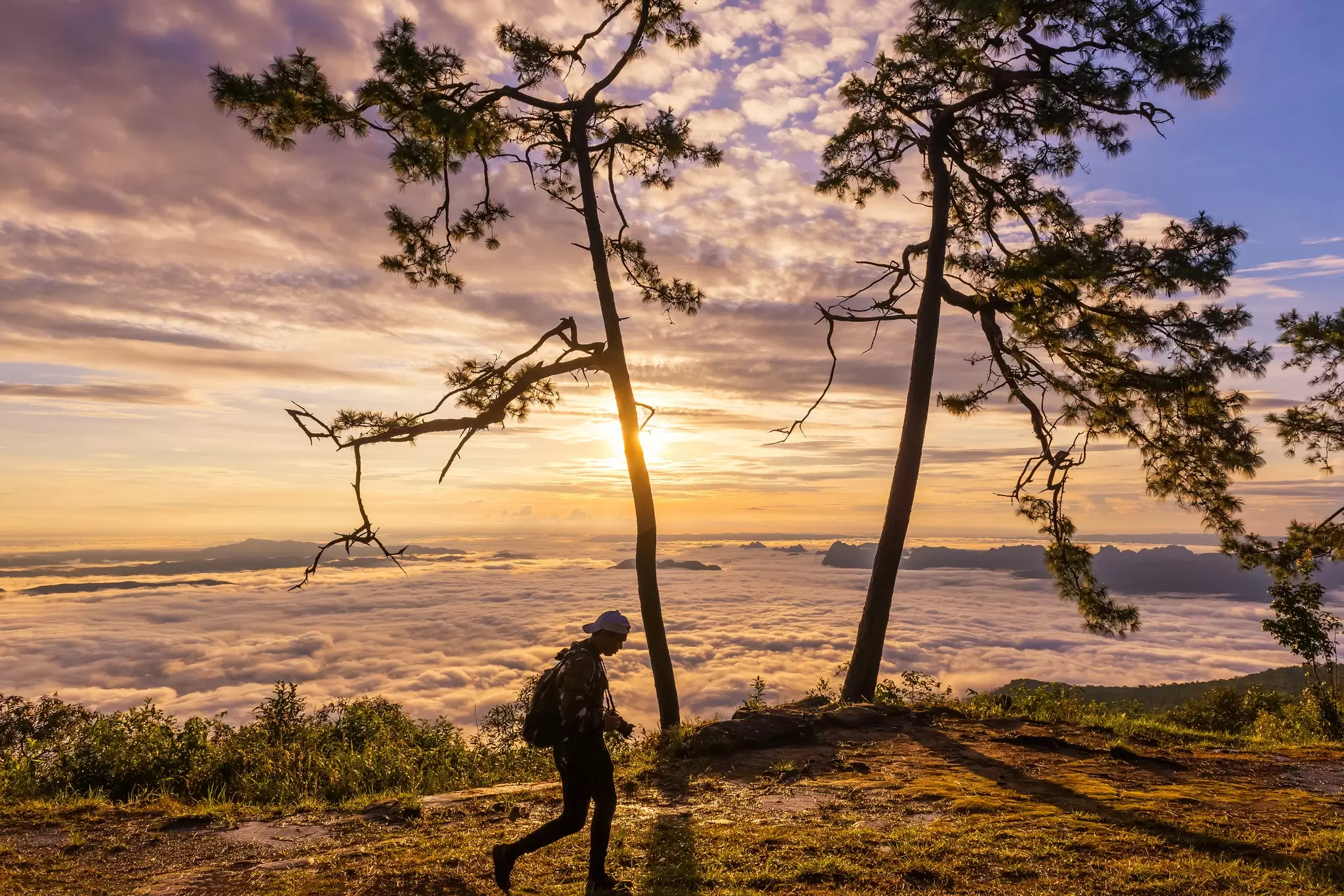 Phu Kradueng National Park. mr_gateway/Shutterstock