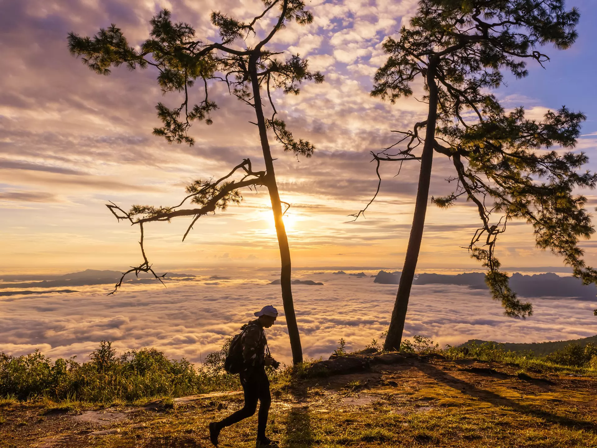 Phu Kradueng National Park. mr_gateway/Shutterstock