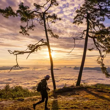 Phu Kradueng National Park. mr_gateway/Shutterstock