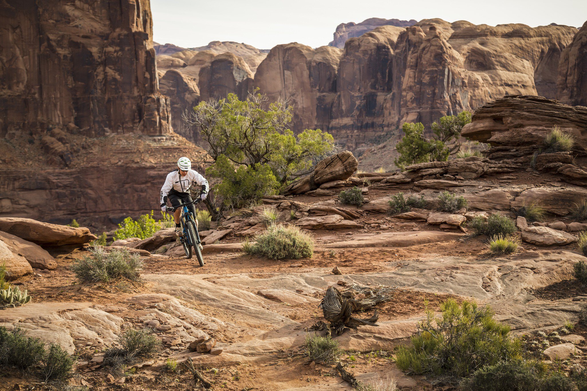 A man mountain biking on the Hymasa trail, Moab, Utah.
People Control Adventure Challenge Skill Expertise Lifestyles Nature Sport Horizontal Full Length Outdoors 40-44 Years Front View Caucasian Ethnicity Cycling Mountain Biking Holding Bicycle Footpath Bush Tree Mountain Rock - Object Day Utah One Person Mountain Bike Headwear Scenics Healthy Lifestyle Exercising Adult Mature Adult Geology Physical Geography Color Image Moab Cycling Helmet Sports Clothing Men One Mature Man Only Only Men One Man Only Photography Extreme Terrain Non-Urban Scene Extreme Sports Adults Only Riding Tranquility