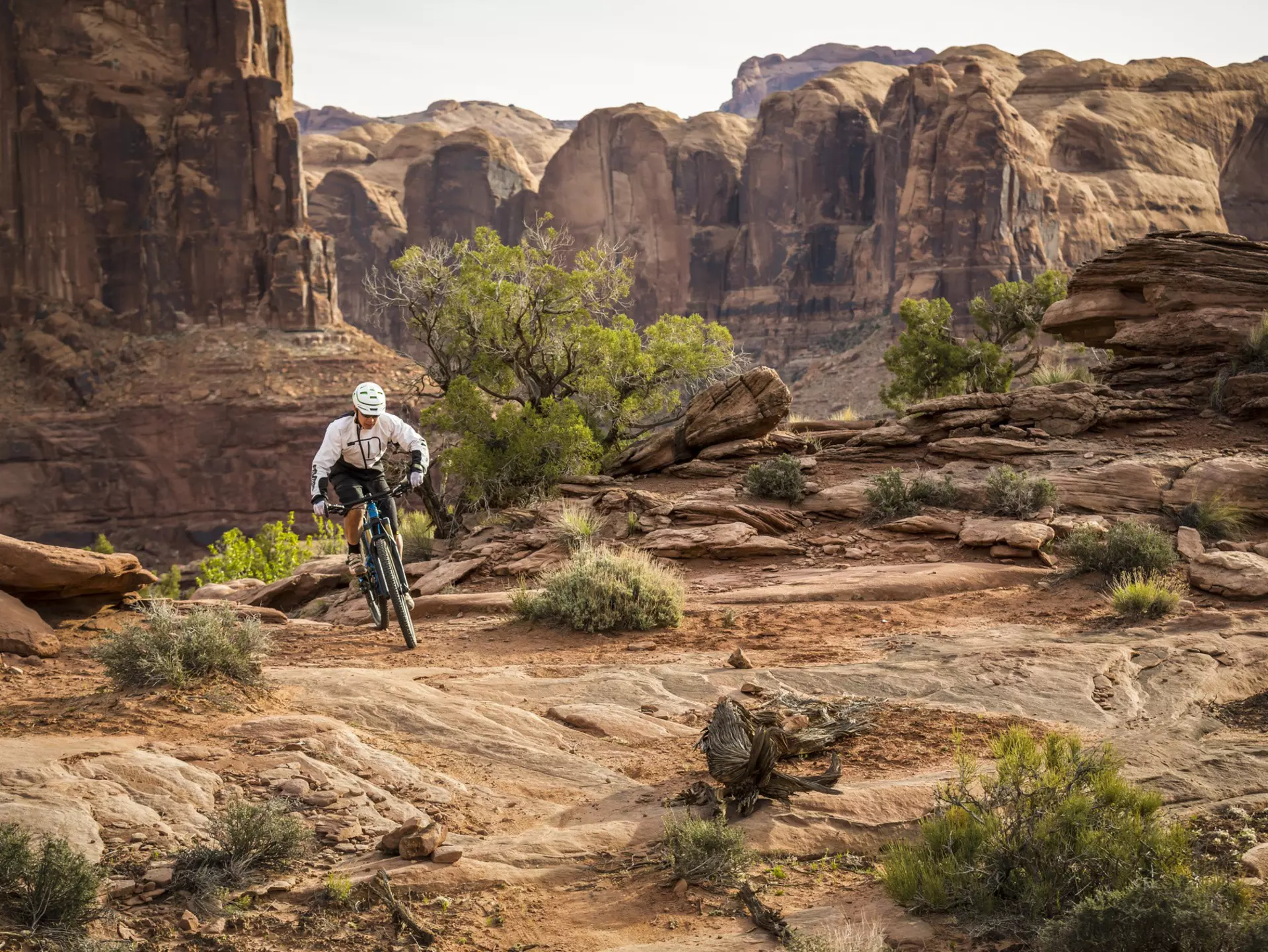 A man mountain biking on the Hymasa trail, Moab, Utah.
People Control Adventure Challenge Skill Expertise Lifestyles Nature Sport Horizontal Full Length Outdoors 40-44 Years Front View Caucasian Ethnicity Cycling Mountain Biking Holding Bicycle Footpath Bush Tree Mountain Rock - Object Day Utah One Person Mountain Bike Headwear Scenics Healthy Lifestyle Exercising Adult Mature Adult Geology Physical Geography Color Image Moab Cycling Helmet Sports Clothing Men One Mature Man Only Only Men One Man Only Photography Extreme Terrain Non-Urban Scene Extreme Sports Adults Only Riding Tranquility