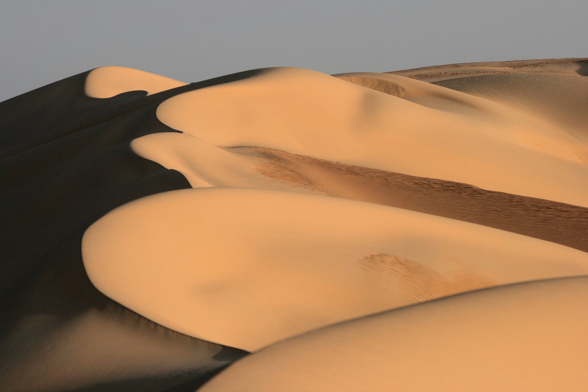 dunes in the great sand sea in egypt.