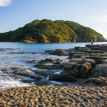 Goat Island Marine Reserve near Leigh North Island New Zeland.