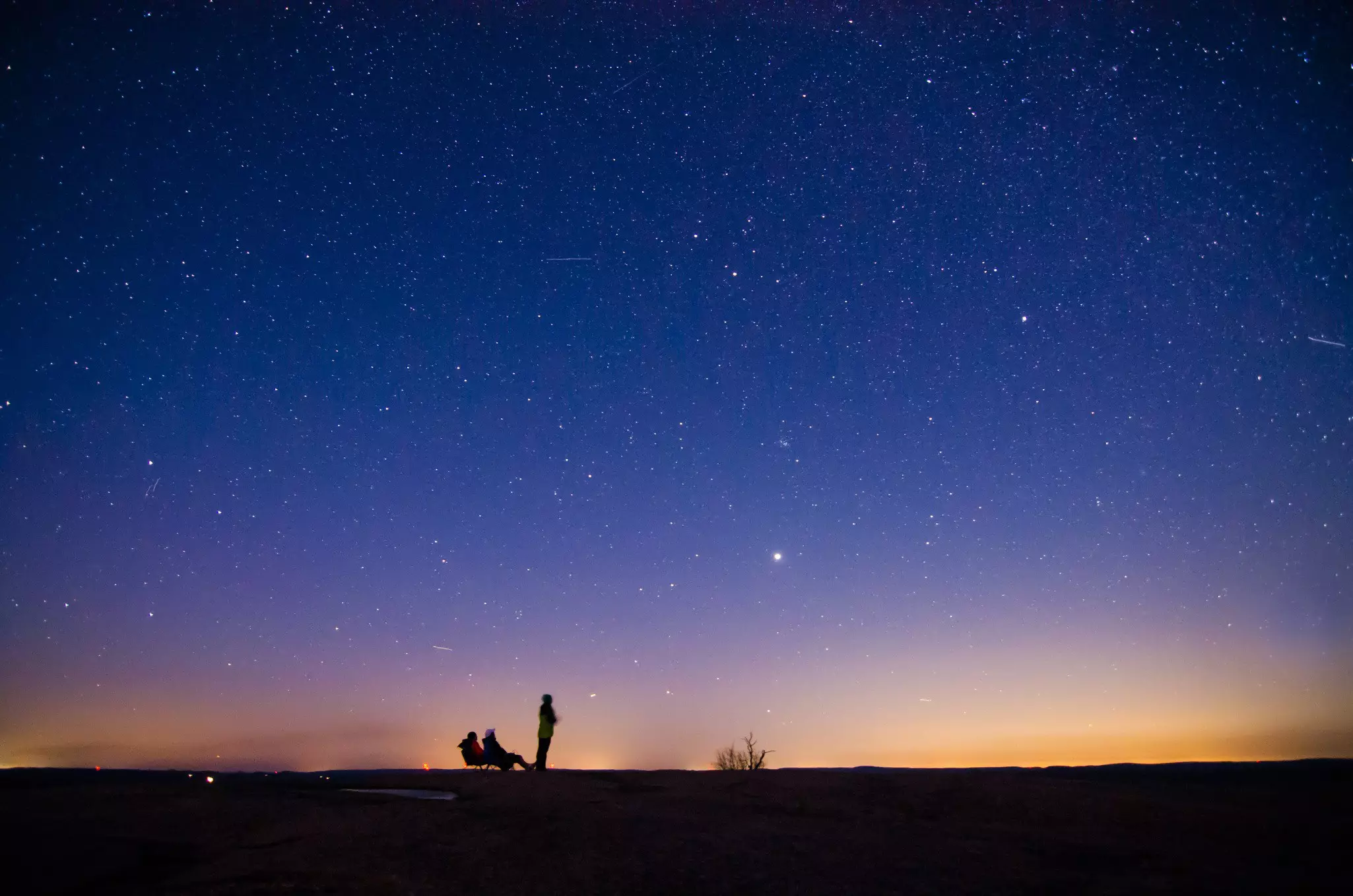 People in silhouette gaze at a sky filled with stars