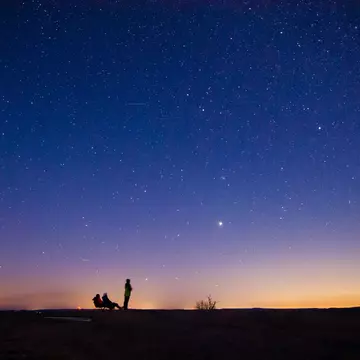 People in silhouette gaze at a sky filled with stars