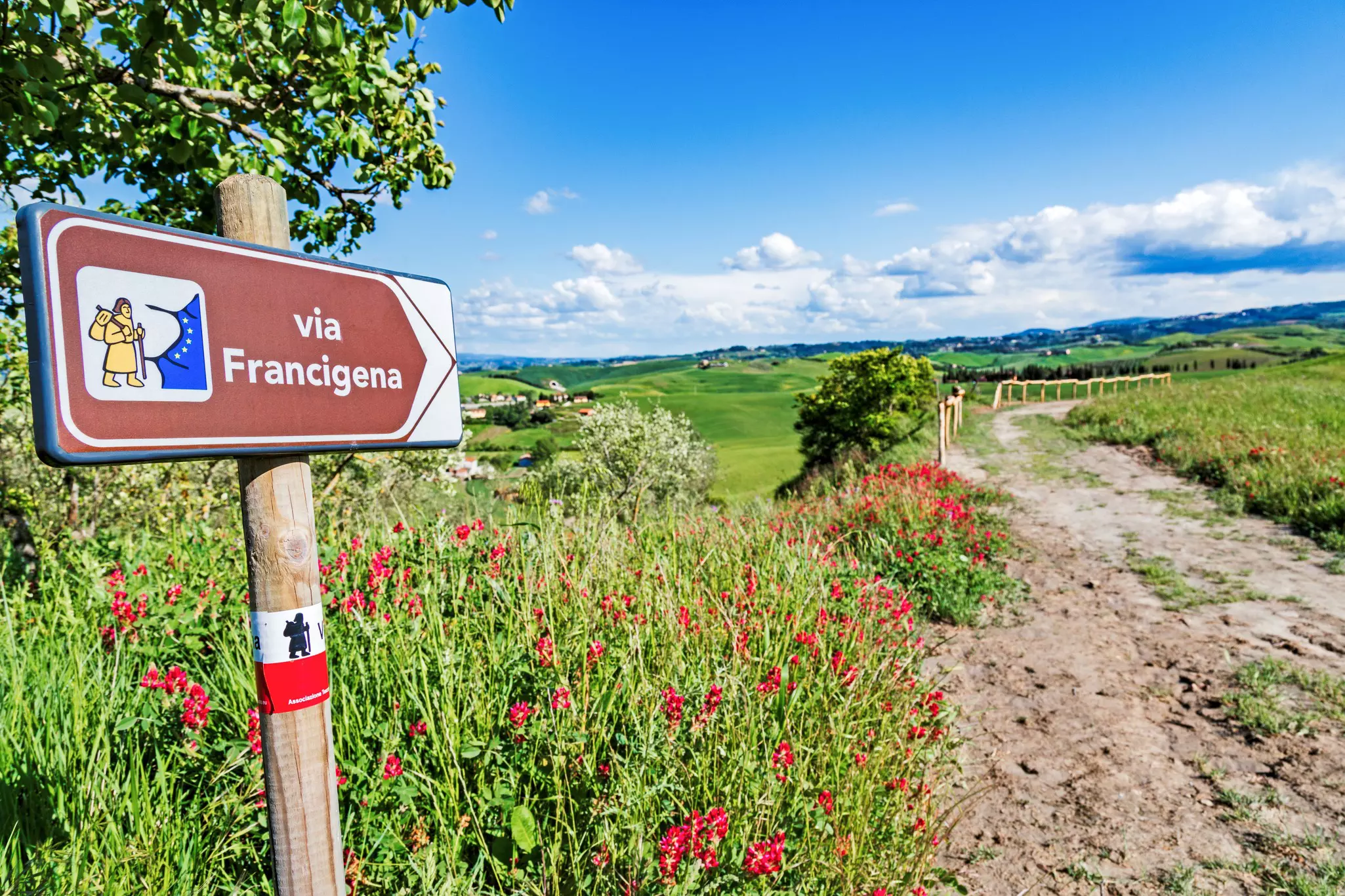 A pathway, through countryside with flowers in bloom, signposted as the "via Francigena"
