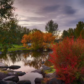 An autumnal shot of the botanical gardens in Laugardalur, featuring a glassy pond and color-changing trees