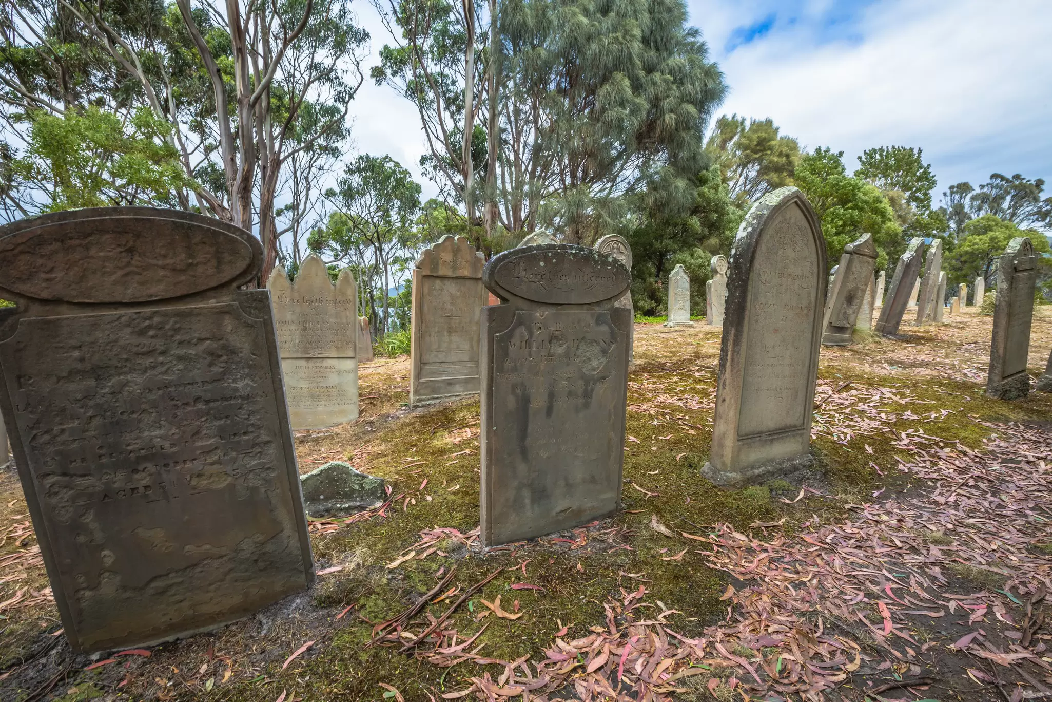 View of gravestones on the Isle of the Dead at Port Arthur Historic Site in Tasmania, Australia.