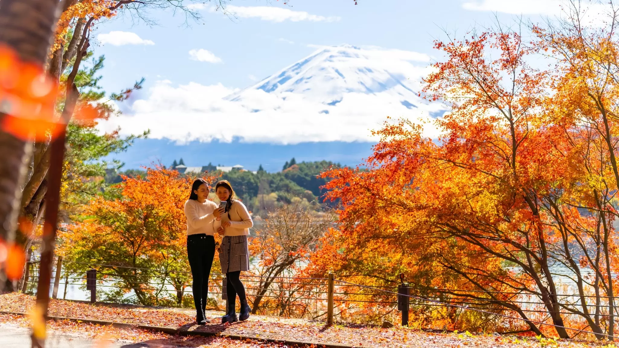 Here's what you need to know about cell connectivity and wi-fi when traveling in Japan. Shutterstock