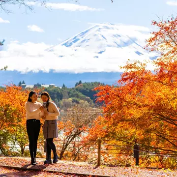 Here's what you need to know about cell connectivity and wi-fi when traveling in Japan. Shutterstock