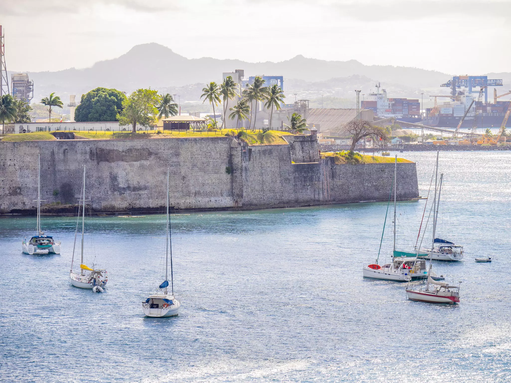 Sailboats in a harbor with mountains in the background