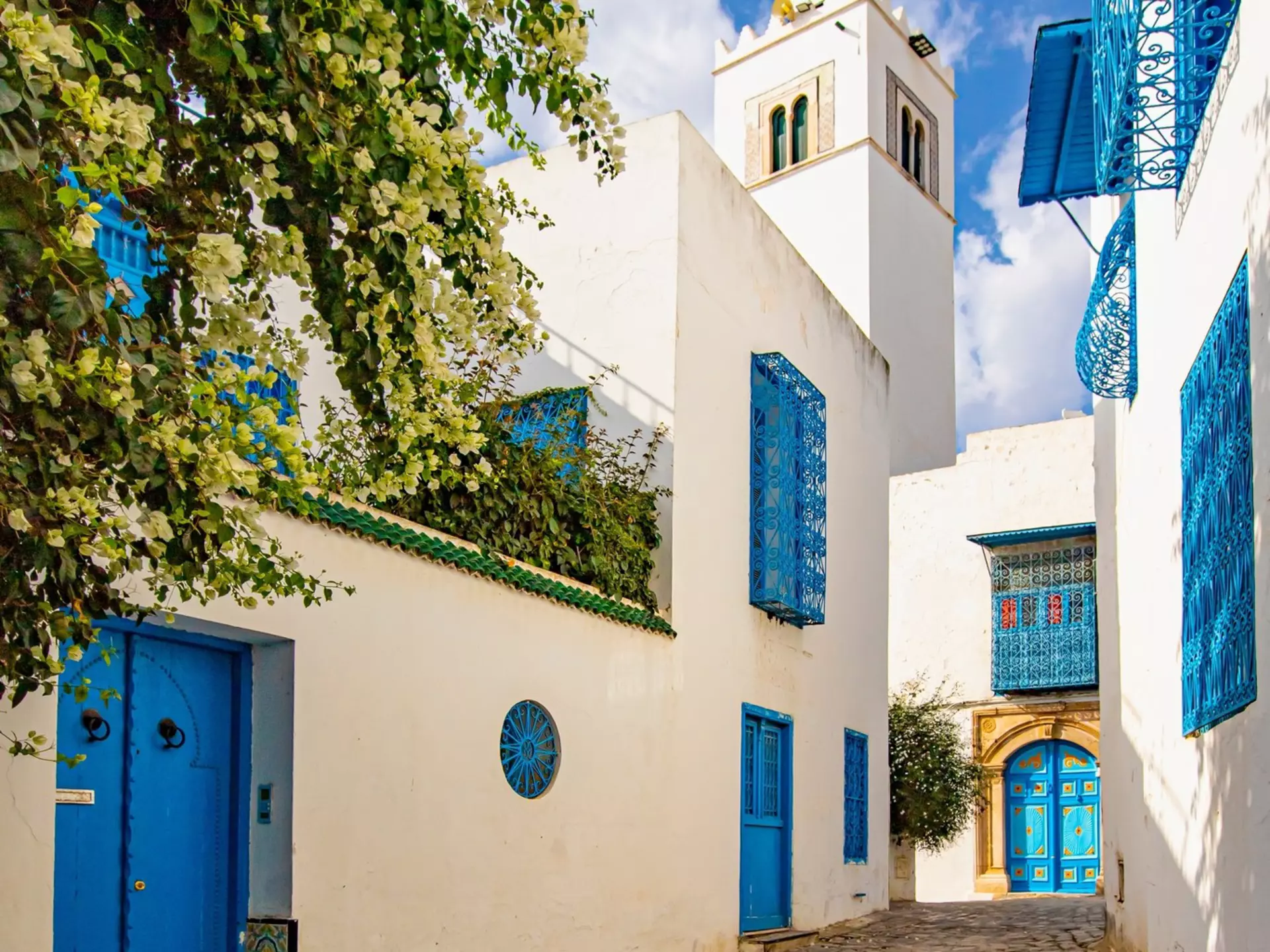 A blue and white lane in Sidi Bou Saïd, Tunisia.