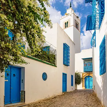 A blue and white lane in Sidi Bou Saïd, Tunisia.