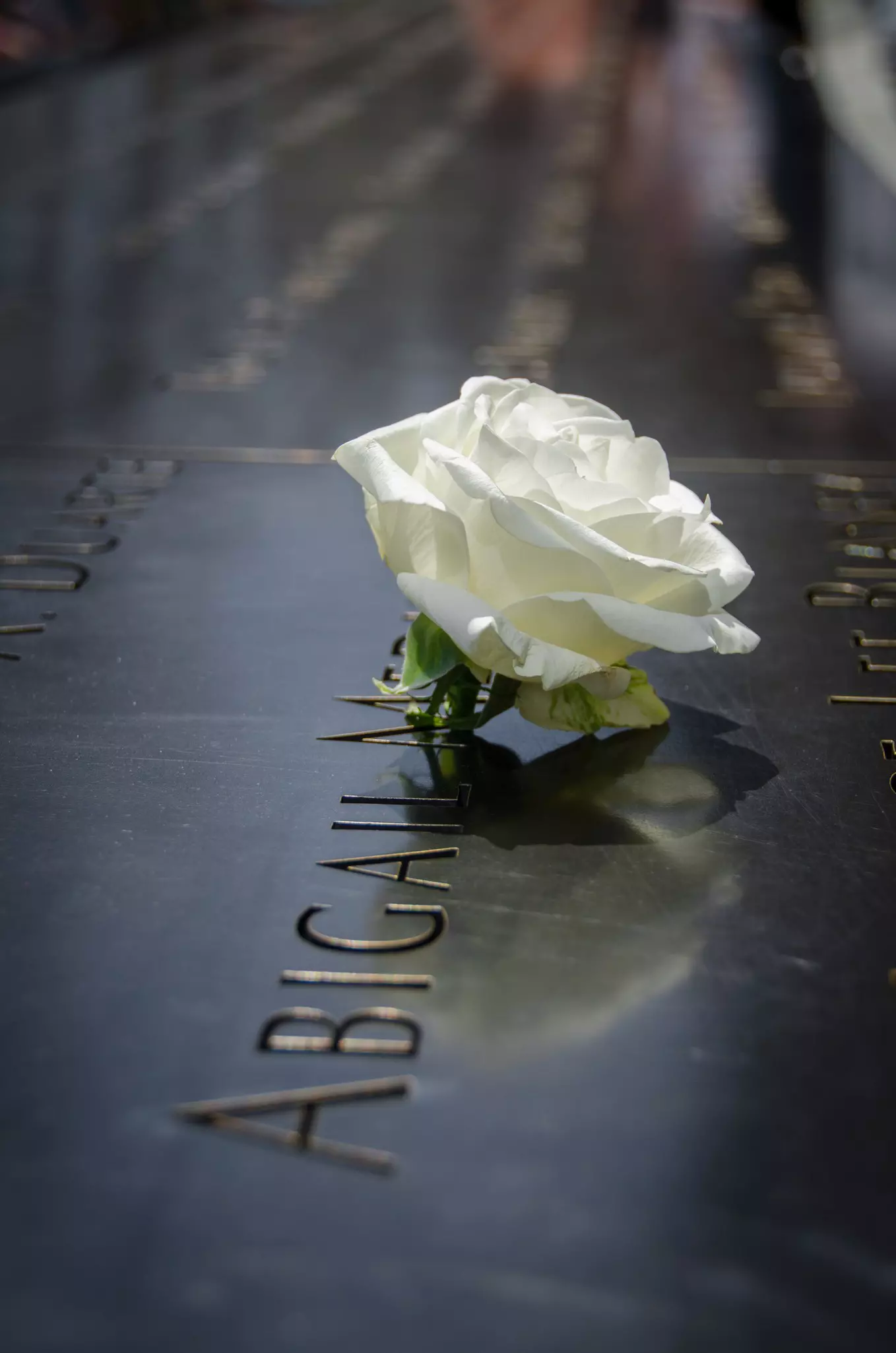 Detail of the National September 11 Memorial