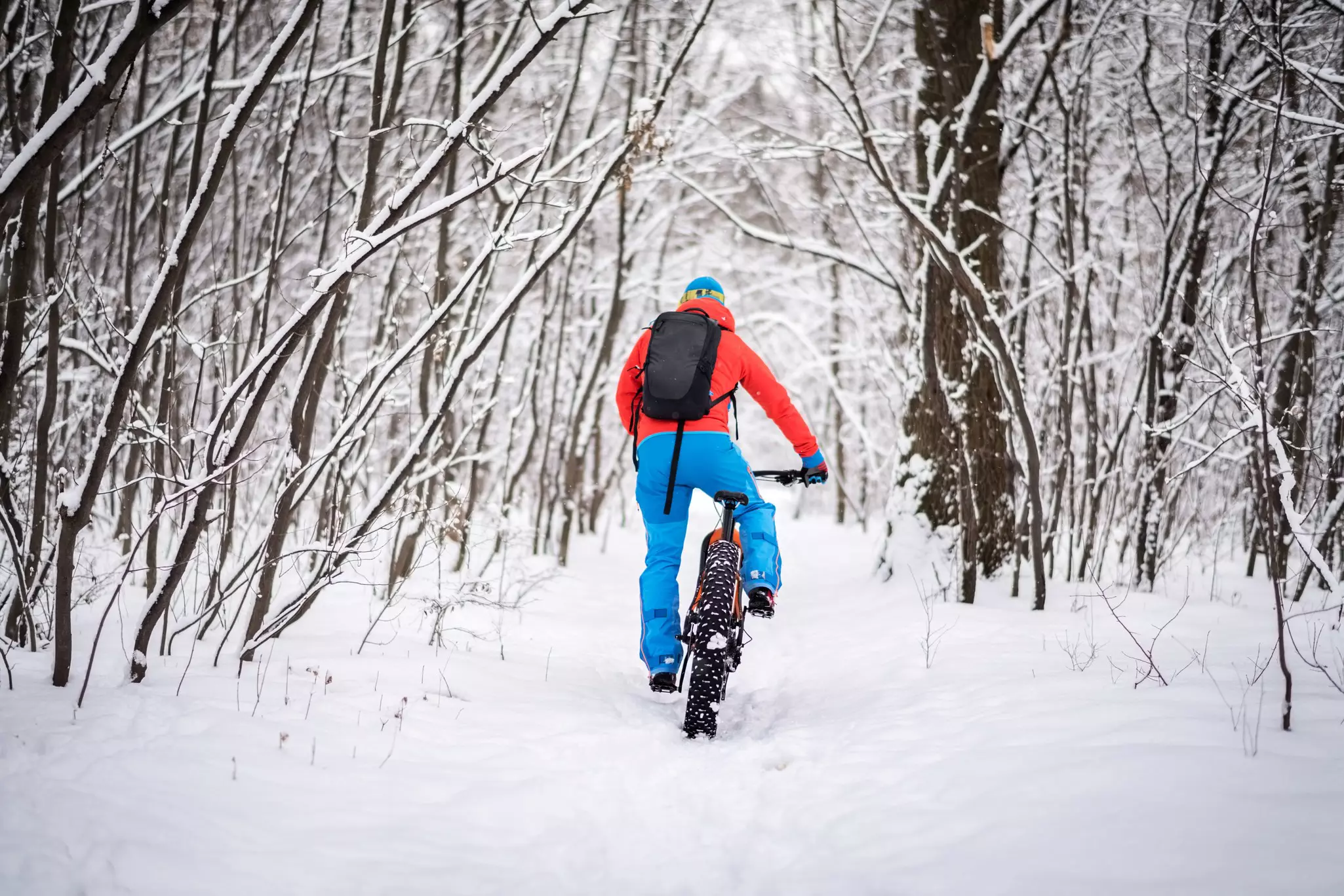 Fat-tire snow cycling offers an exciting way to get a winter sports fix: no skis required. Predrag Vuckovic/Getty Images