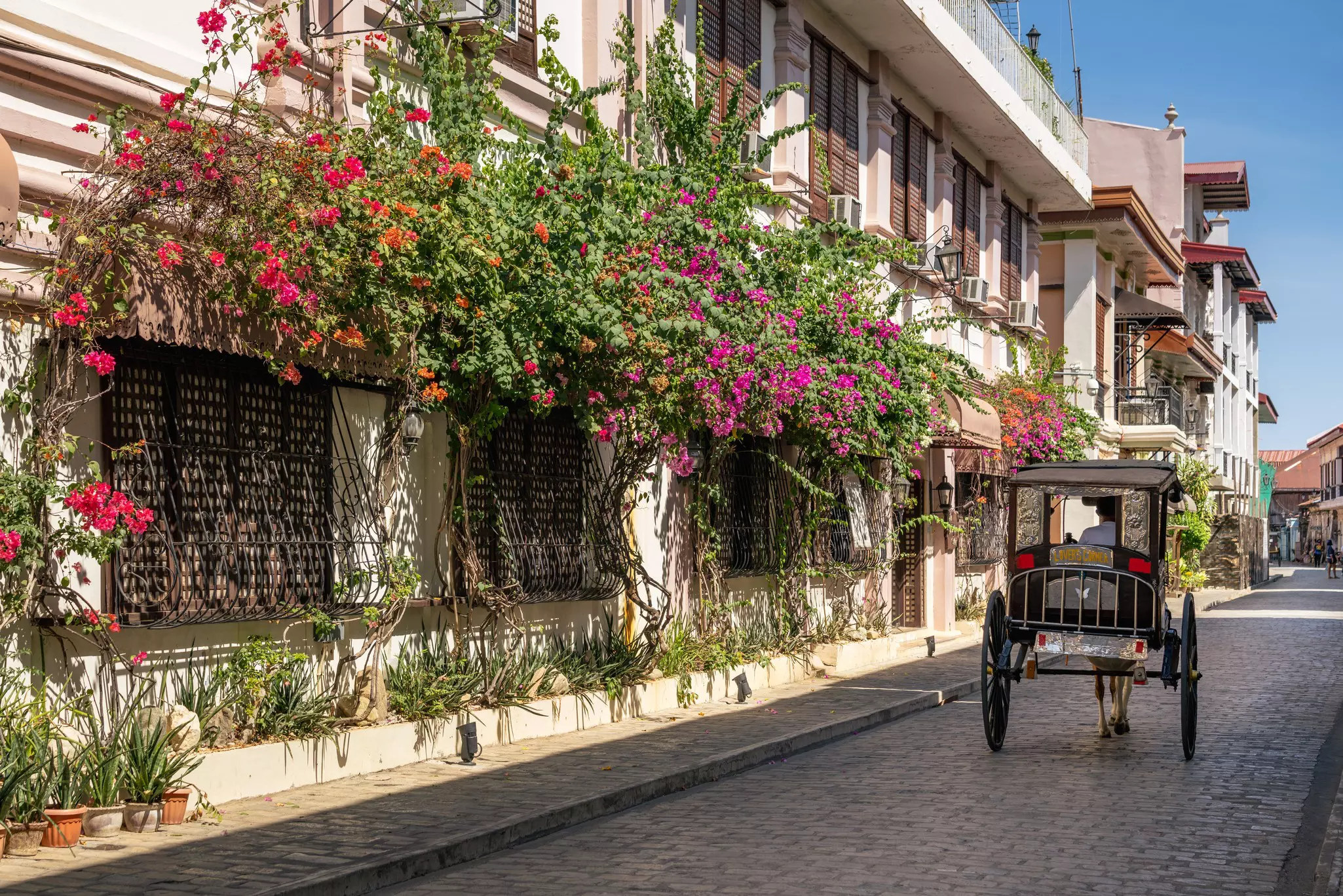 A horse and cart travel down a cobblestone street near a building covered in flowers.