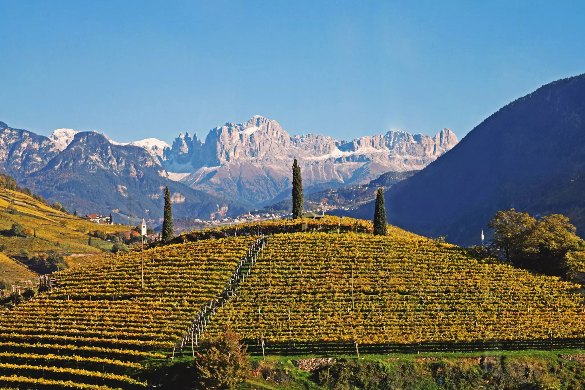A hill covered in rows of vines below a vast range of granite mountain peaks.