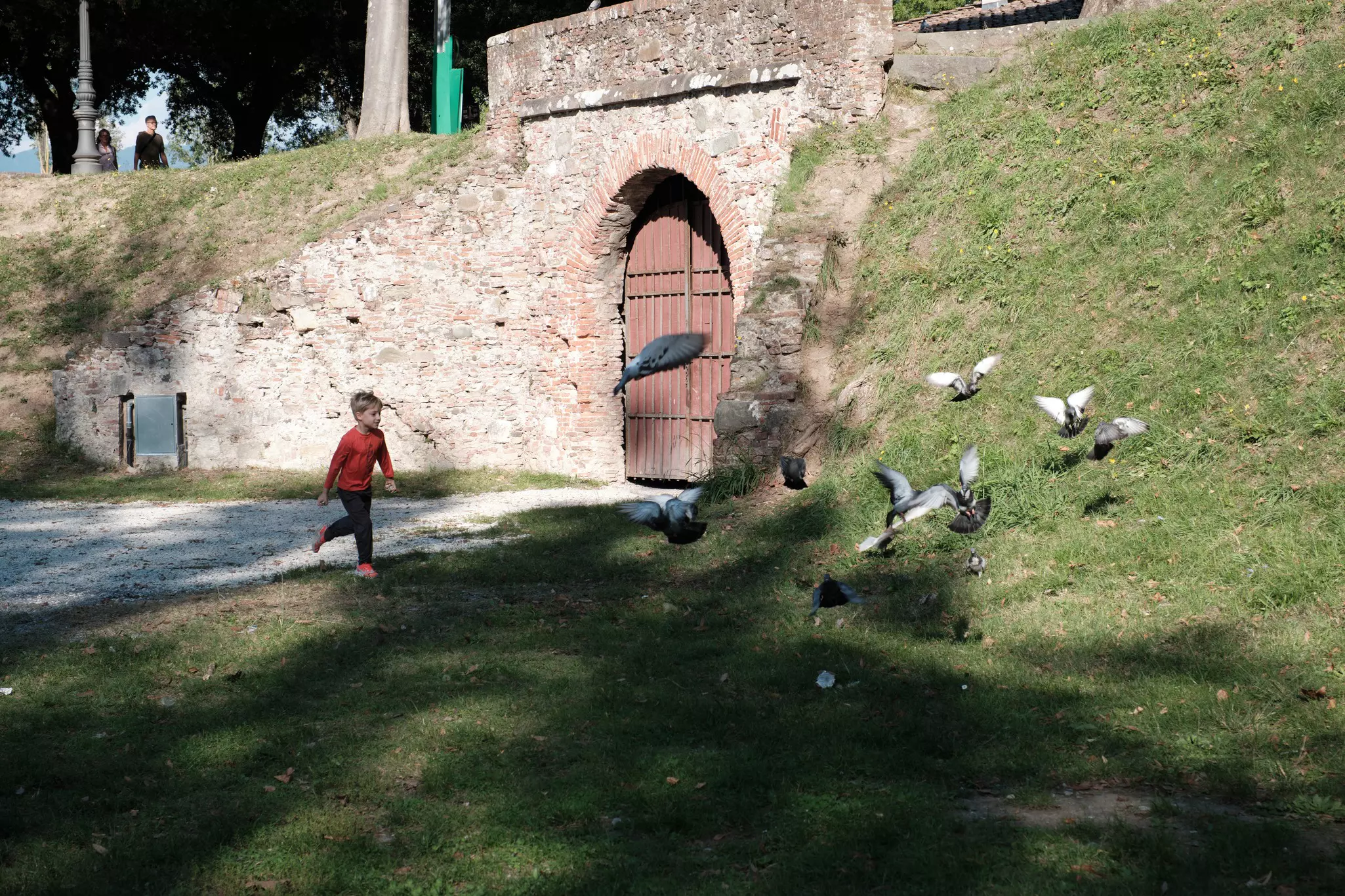 A small boy chases a group of pigeons near an ancient gateway in city walls.