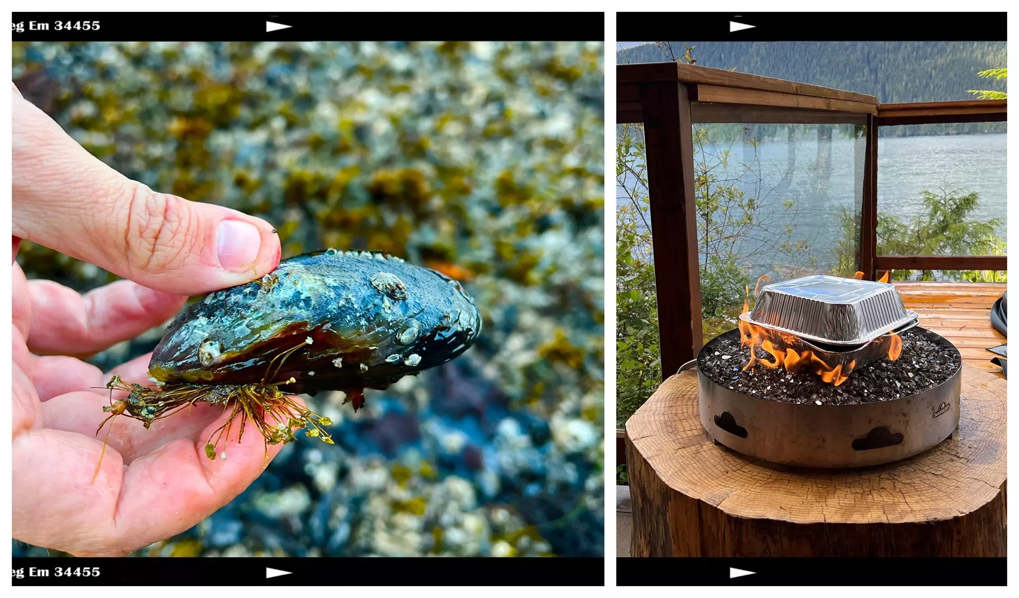 We foraged for juicy mussels right outside our cabin, then cooked them up on the deck © Amber Gibson / Lonely Planet