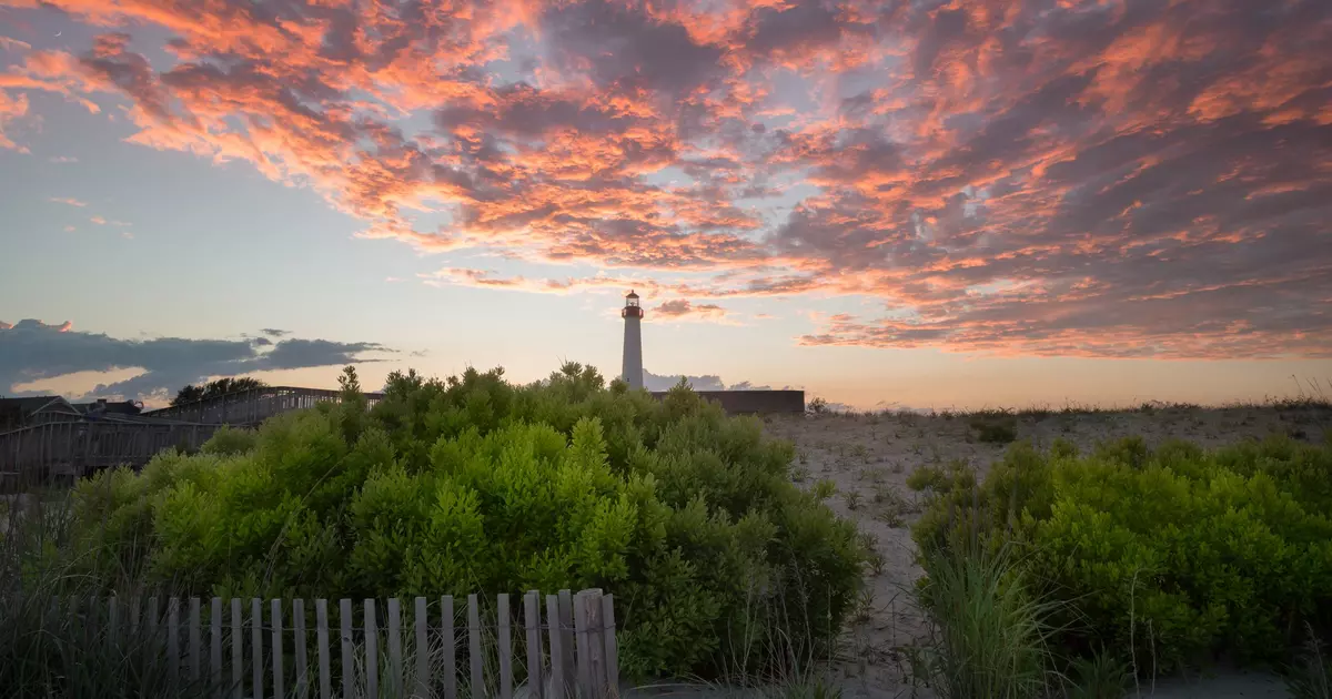 15 unmissable things to do in New Jersey - Lonely Planet