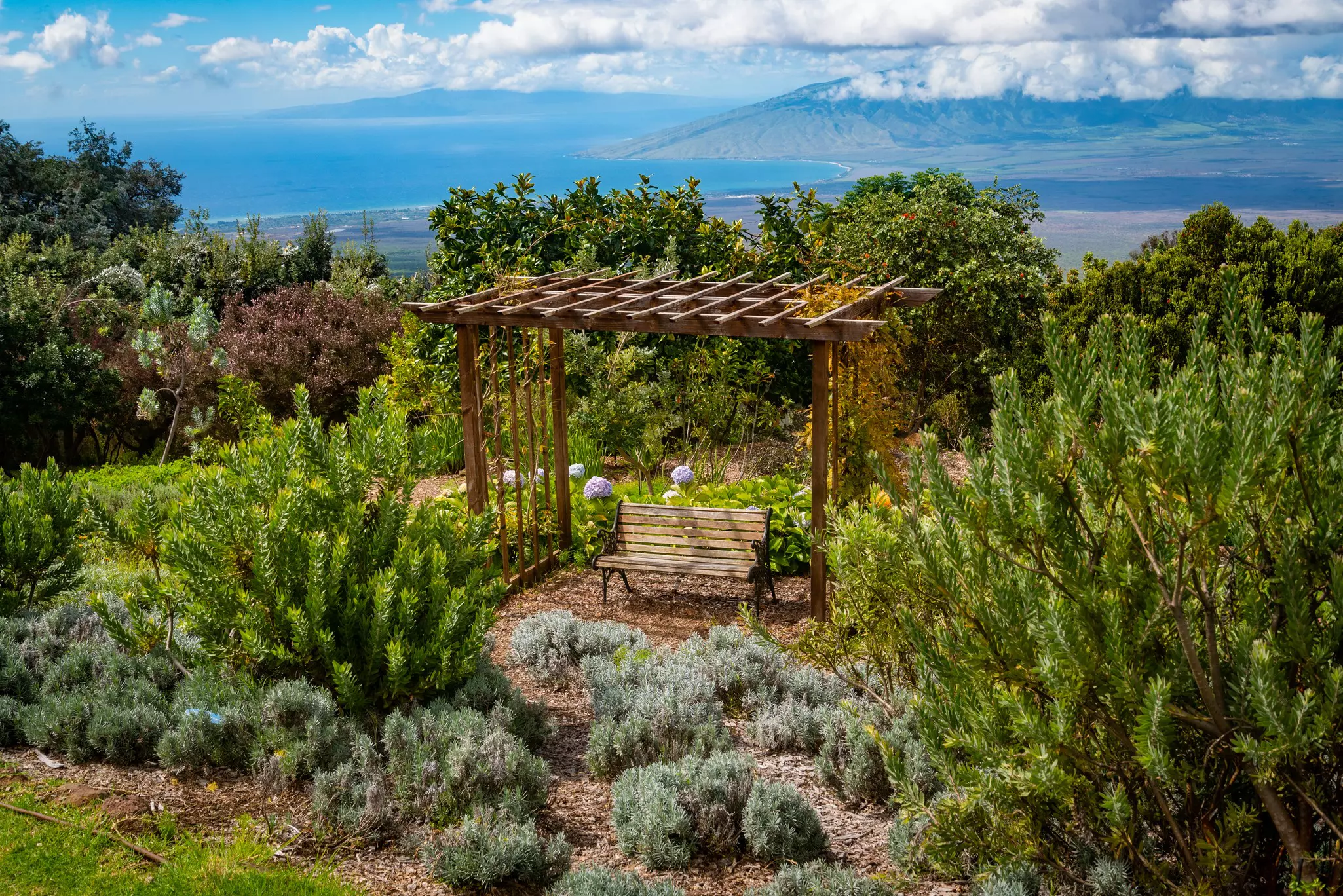 A small pergola is pictured, on the slope of a hillside lavender farm, with the sea visible in the distance.