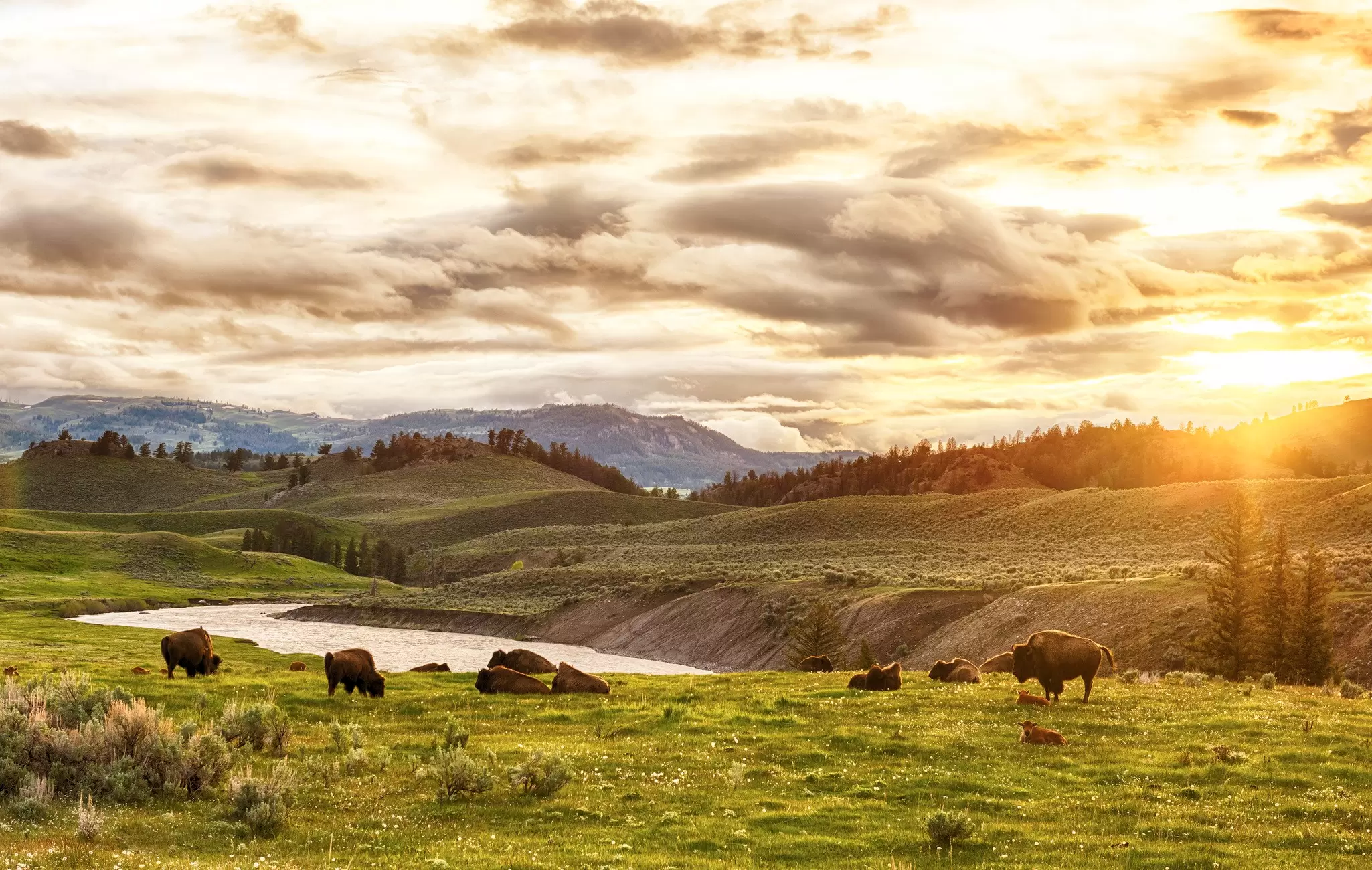 Yellowstone makes for a long day trip from Bozeman – but it's worth it © Fyletto/Getty Images