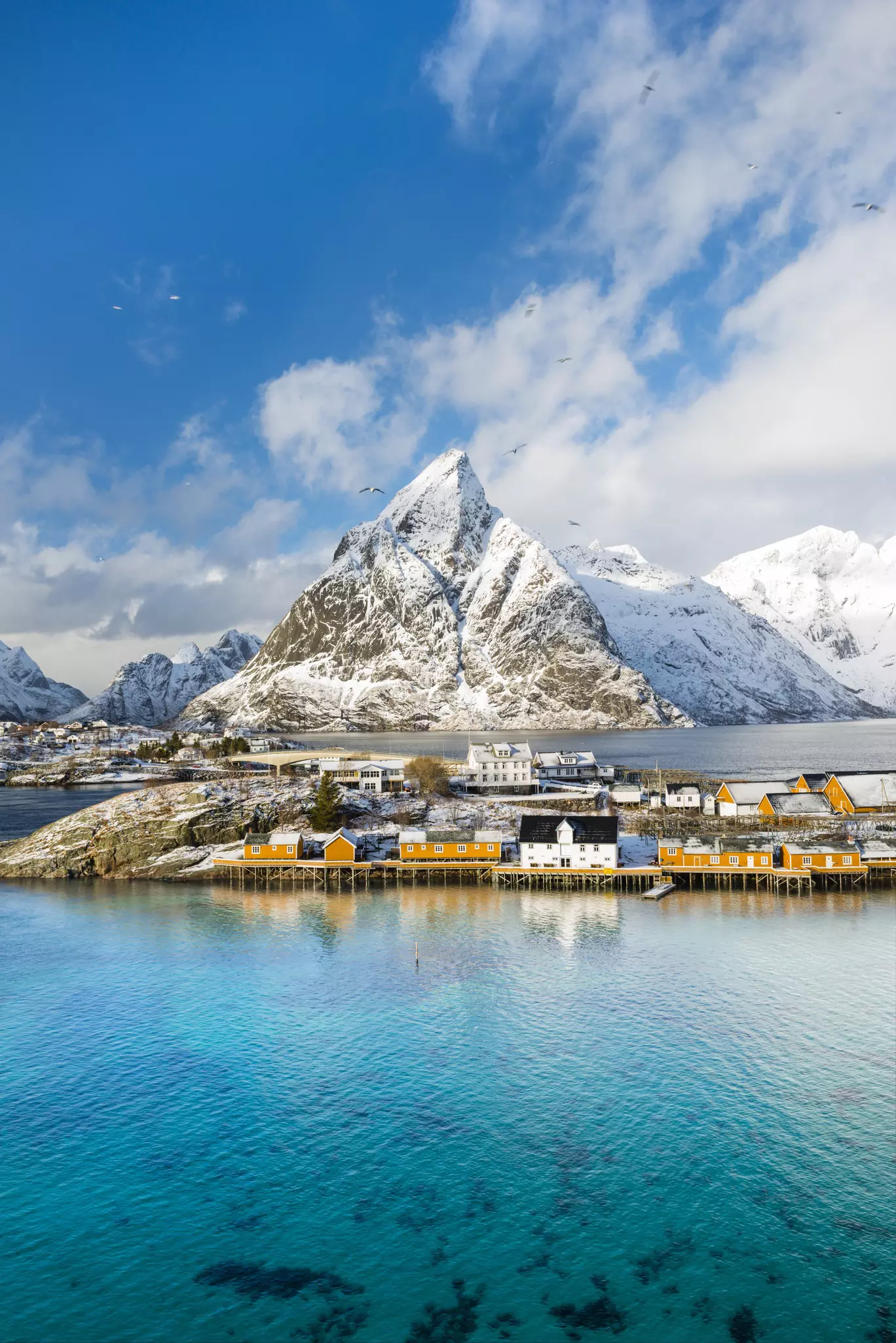 A snow-covered mountain in front of bright blue water.