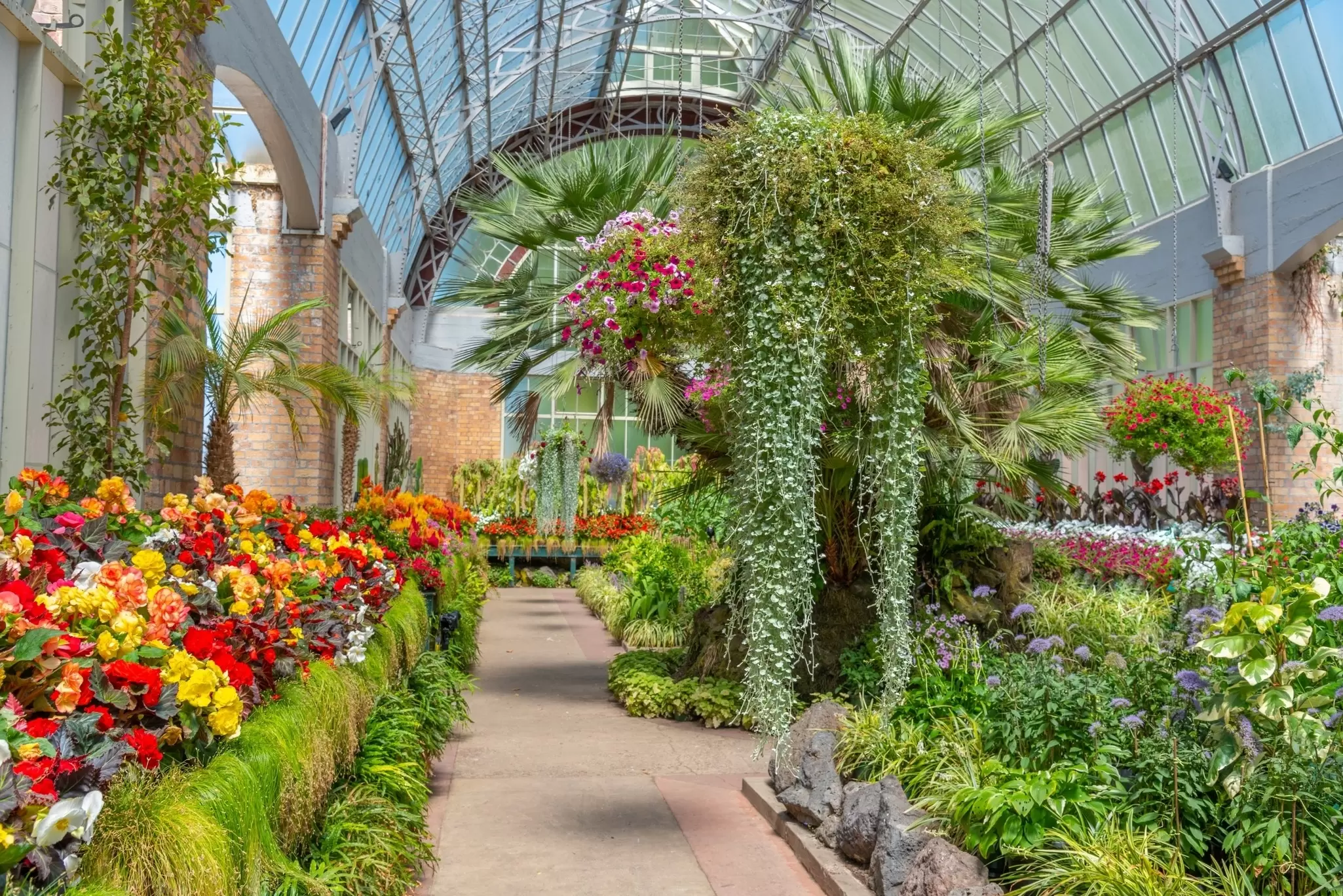 The interior of the iconic Wintergarden in Pukekawa/Auckland Domain in Auckland, New Zealand.