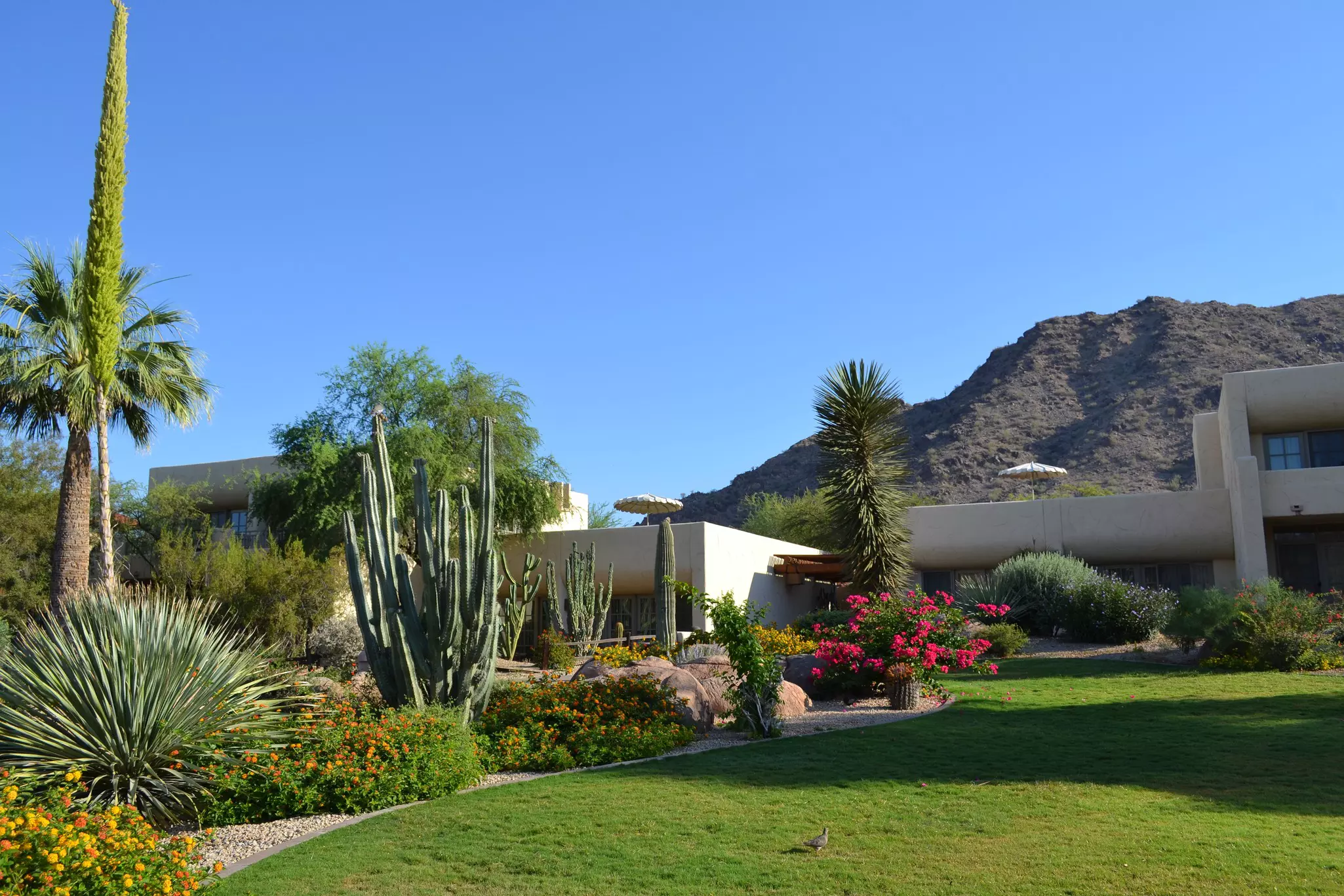 Camelback Inn Resort and Spa. The resort covers 125 acres of immaculately manicured grounds in the scenic Sonoran Desert,