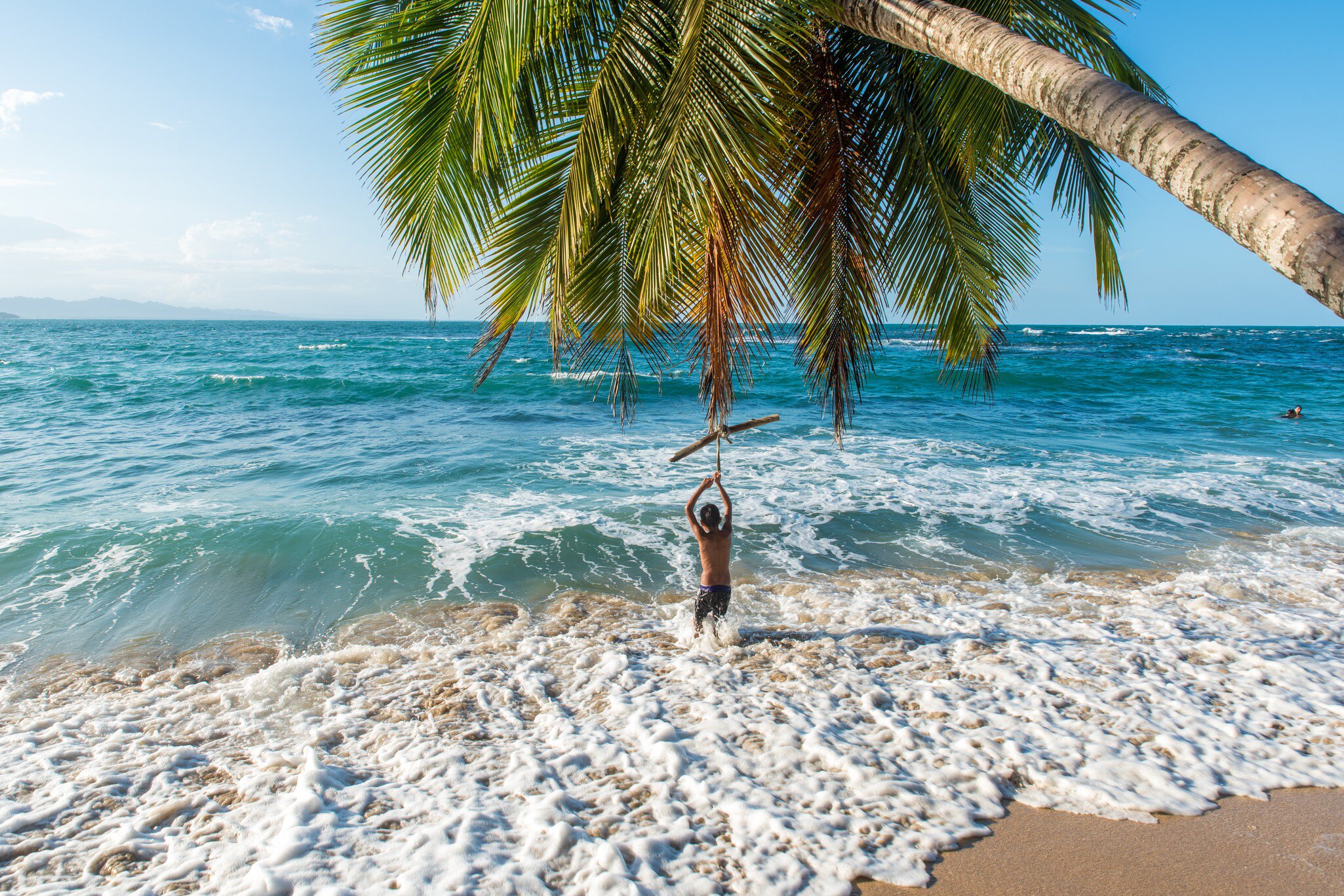 A palm arcs over turquoise surf on a Caribbean beach, a figure in the water.