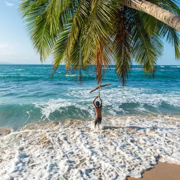 A palm arcs over turquoise surf on a Caribbean beach, a figure in the water.