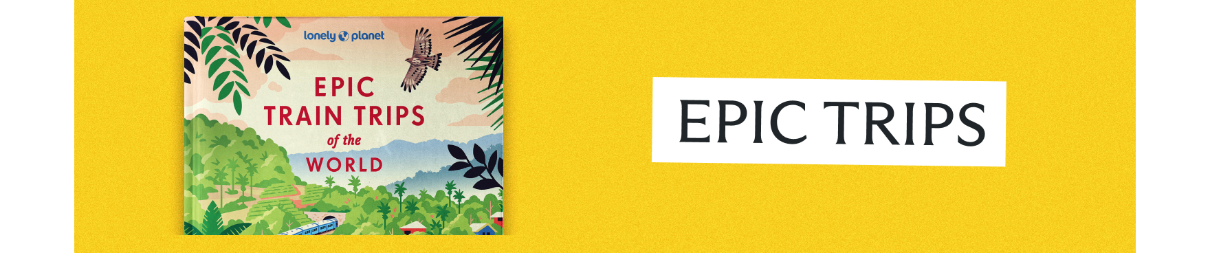 Epic Trips