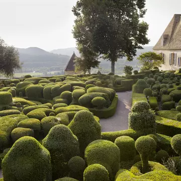 The Jardins de Marqueyssac feature some 150,000 hand-pruned boxwoods